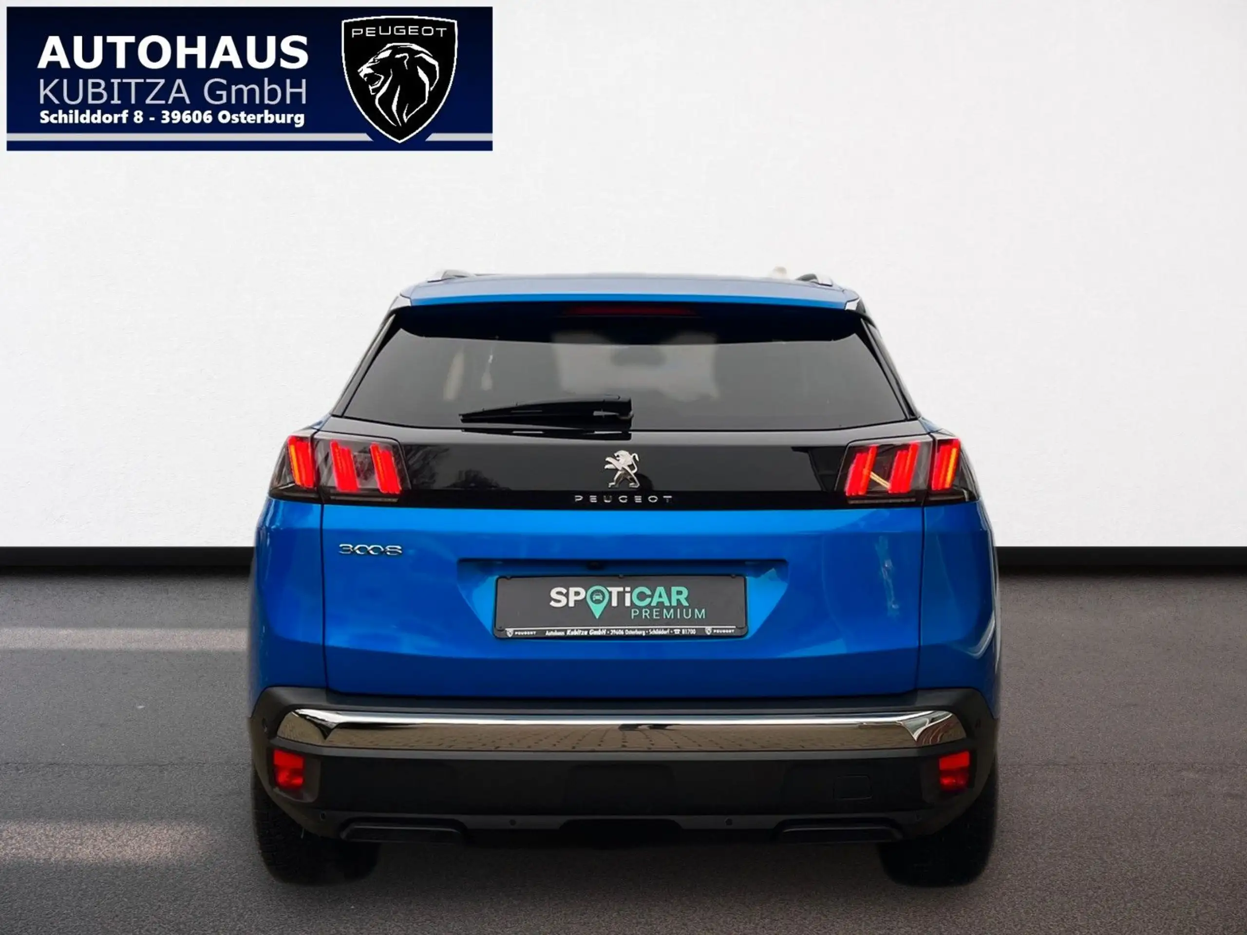 Peugeot - 3008