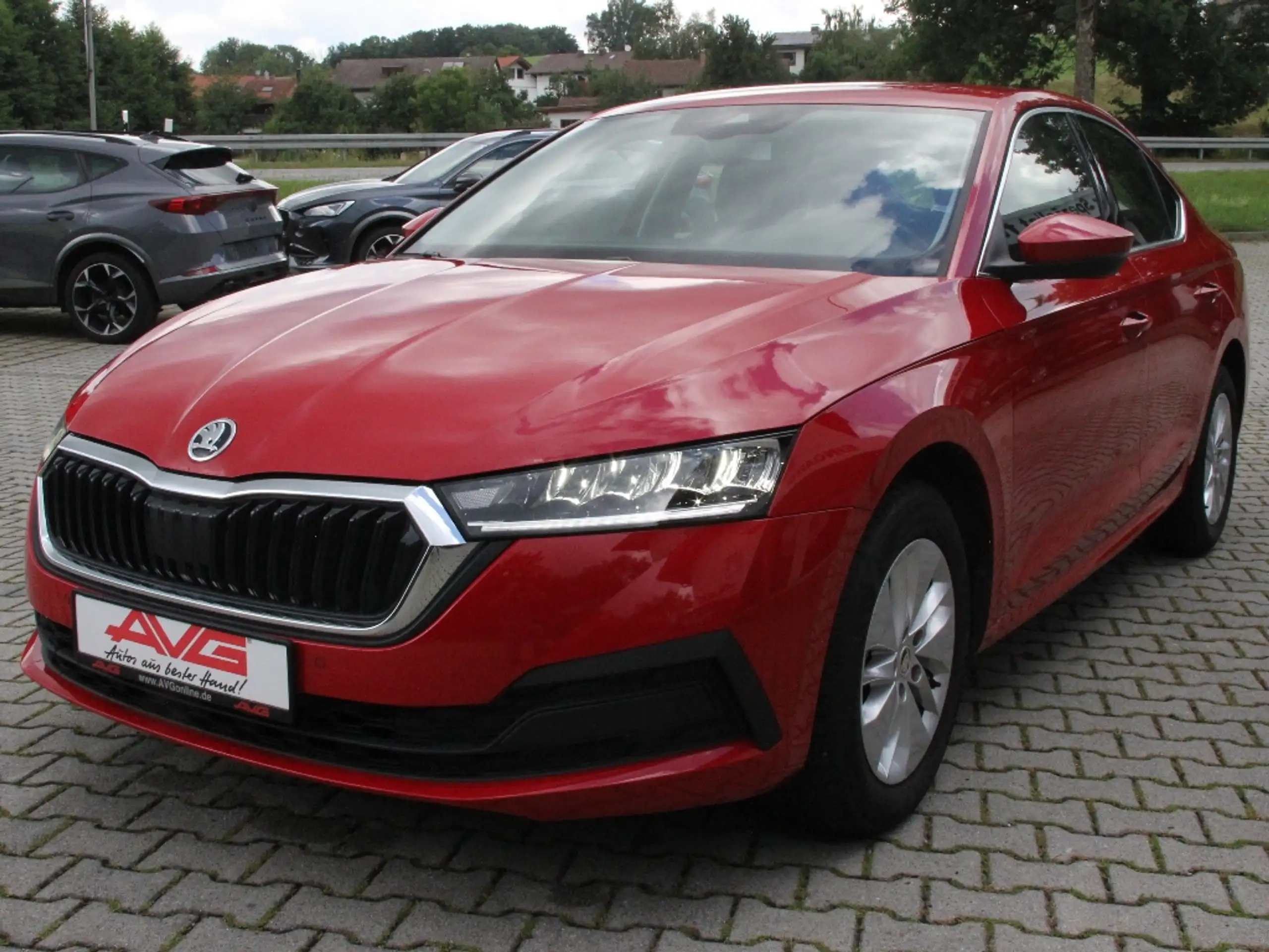 Skoda - Octavia