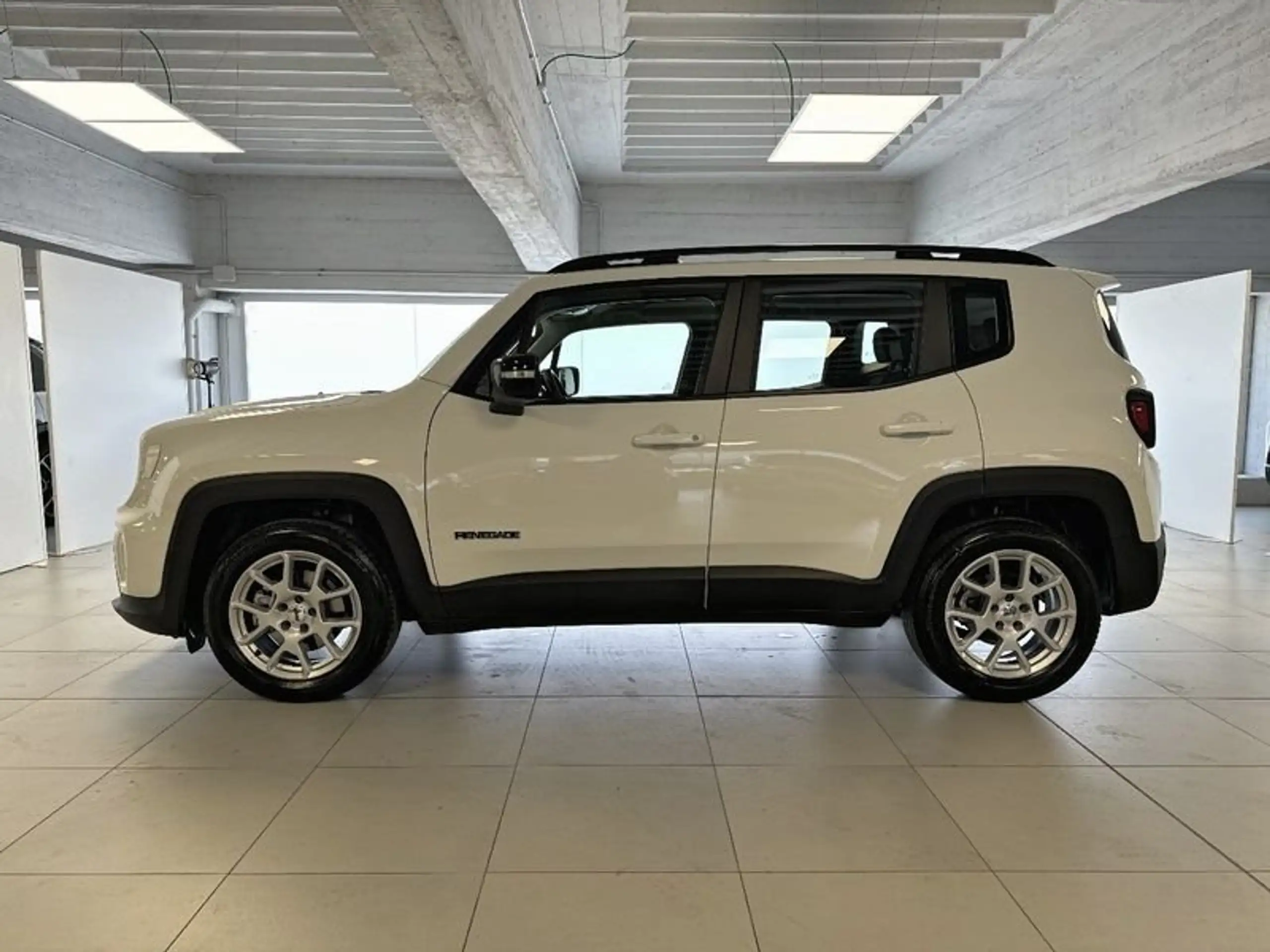 Jeep - Renegade