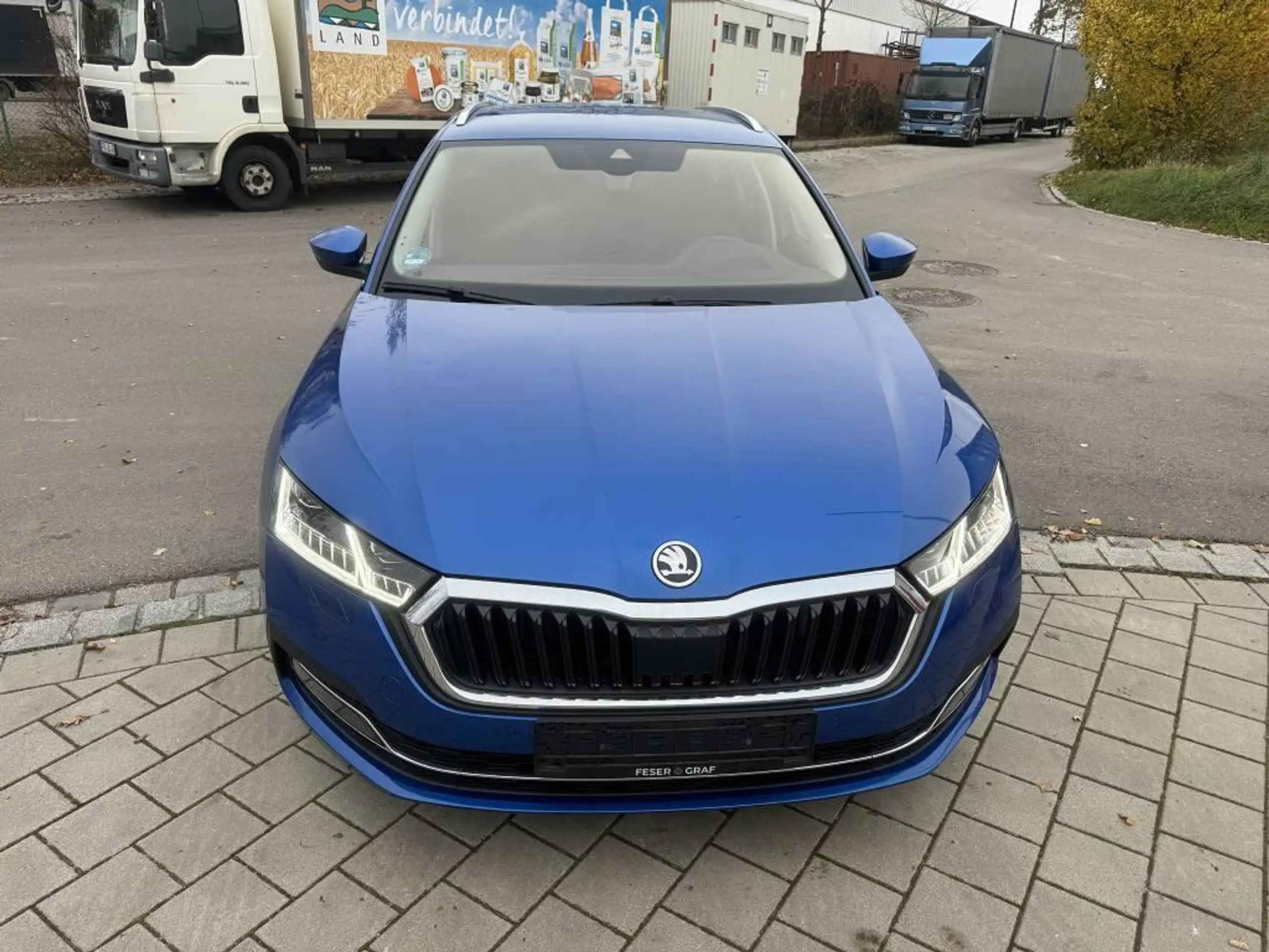 Skoda - Octavia