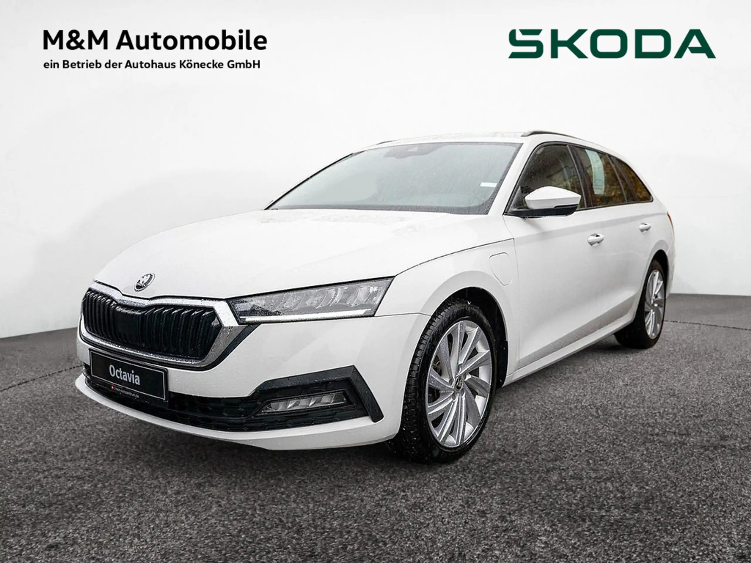 Skoda - Octavia