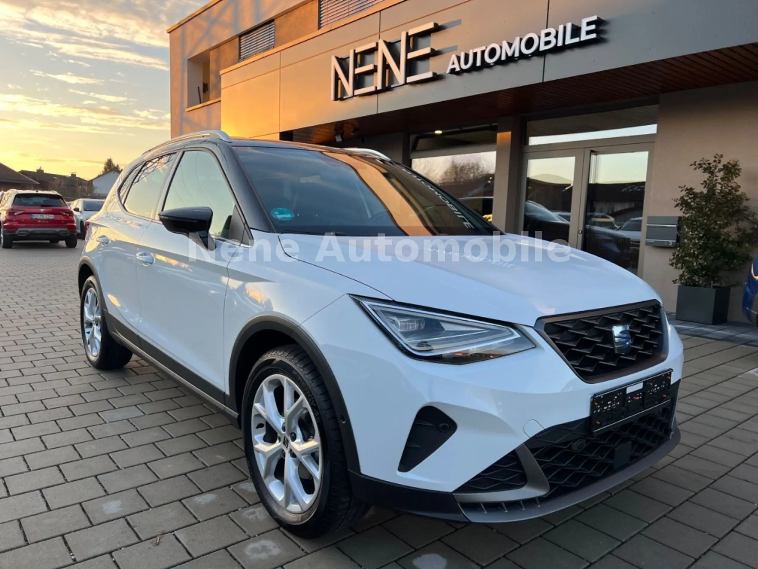 SEAT Arona 2024