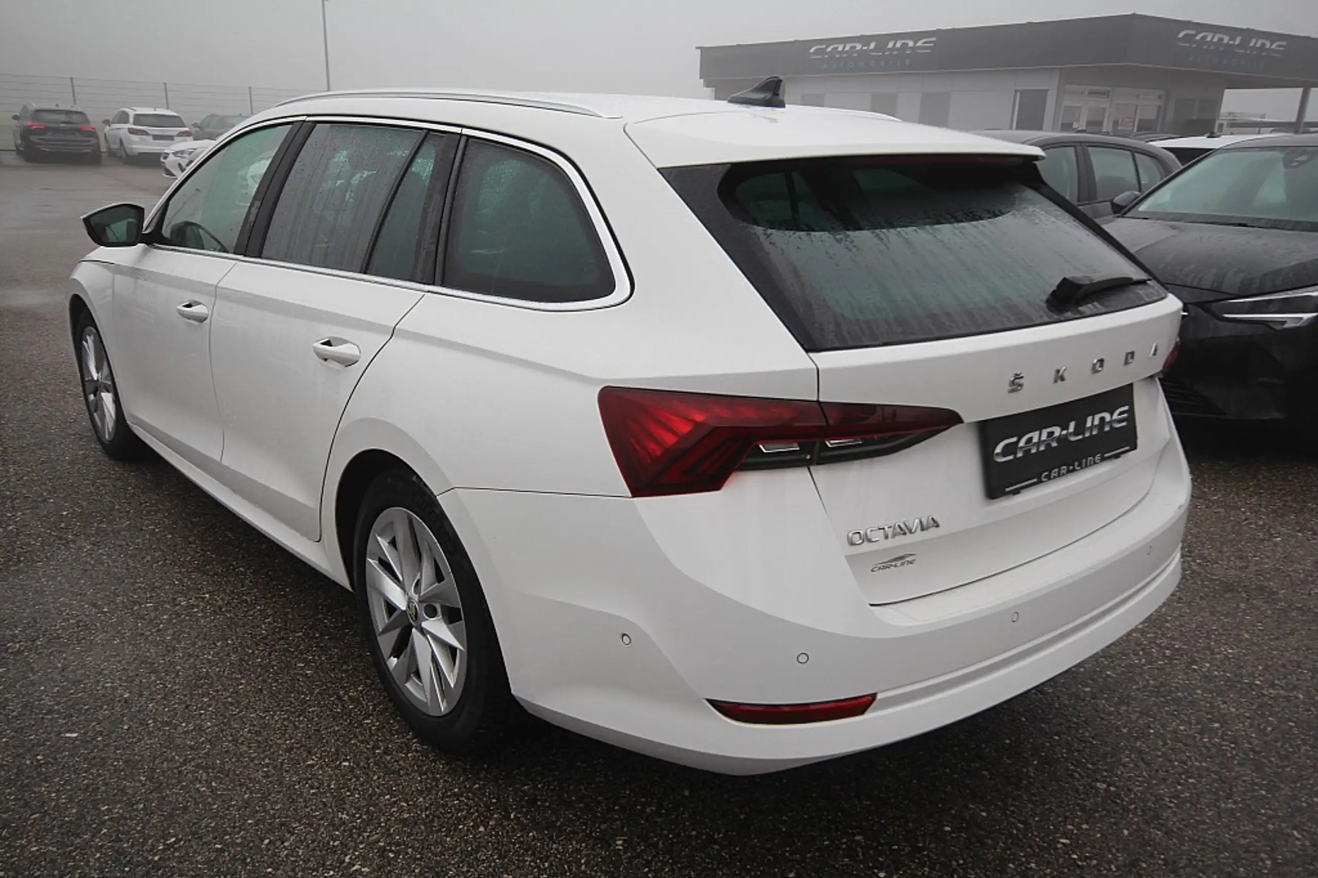 Skoda - Octavia