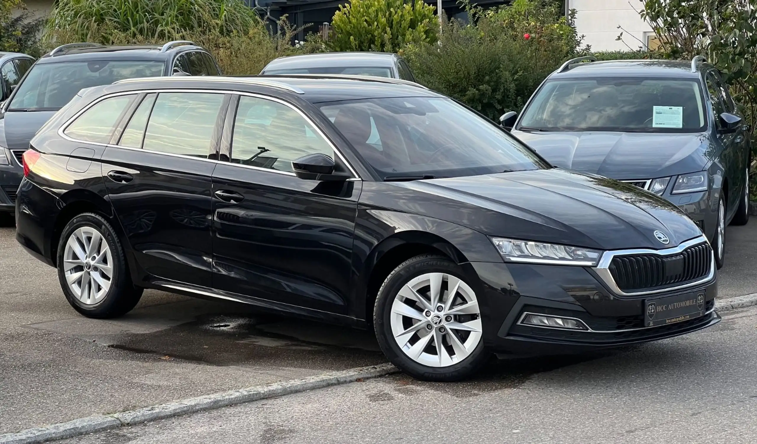 Skoda - Octavia