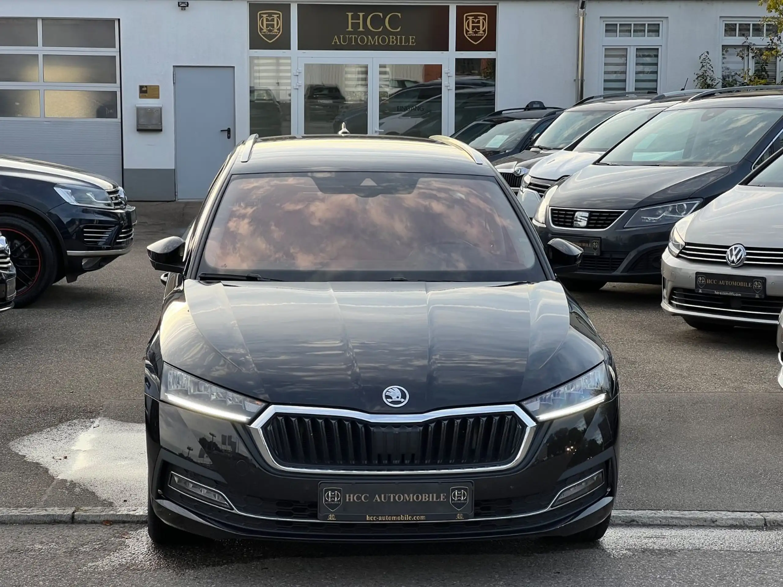 Skoda - Octavia