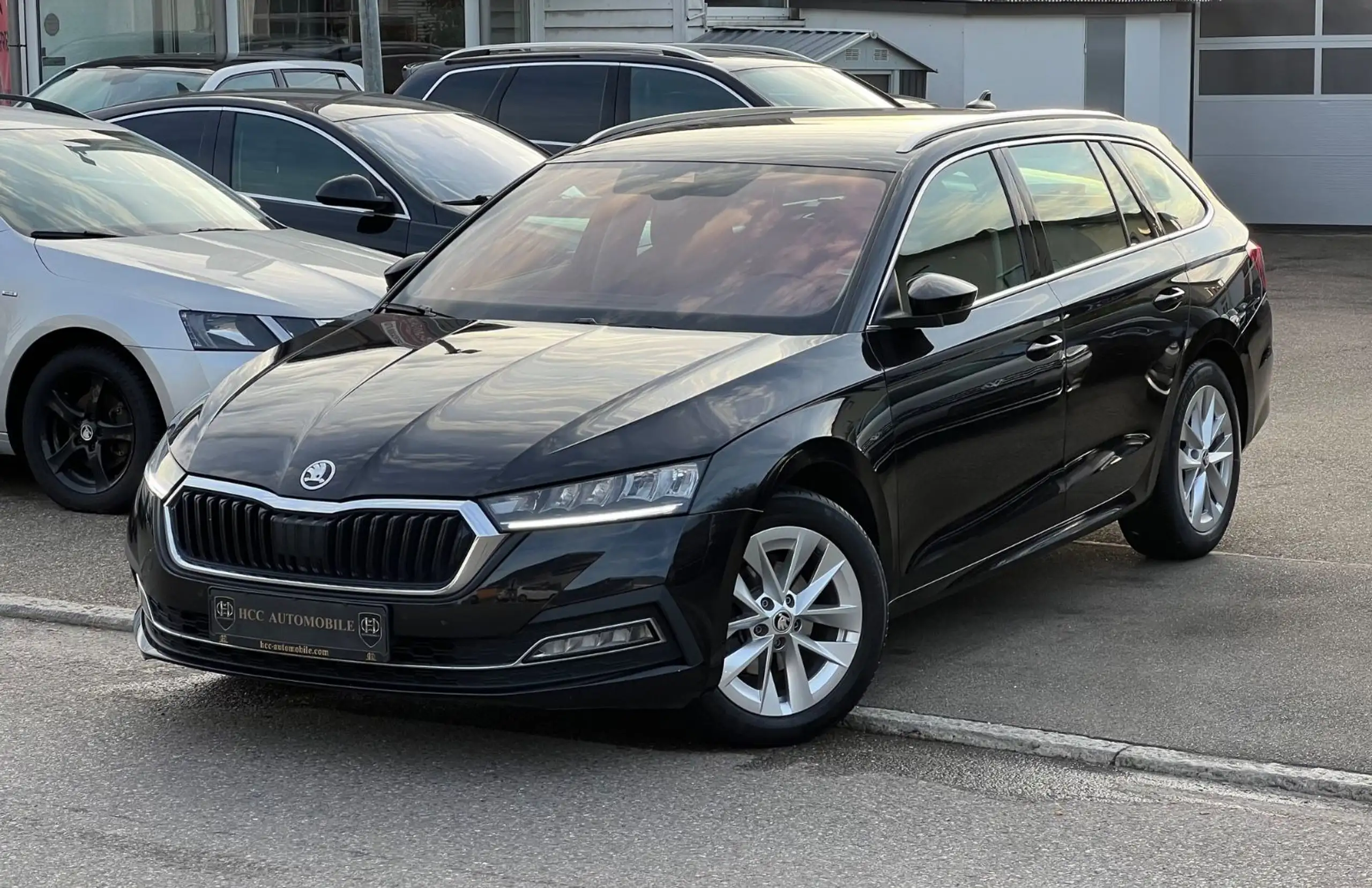 Skoda - Octavia