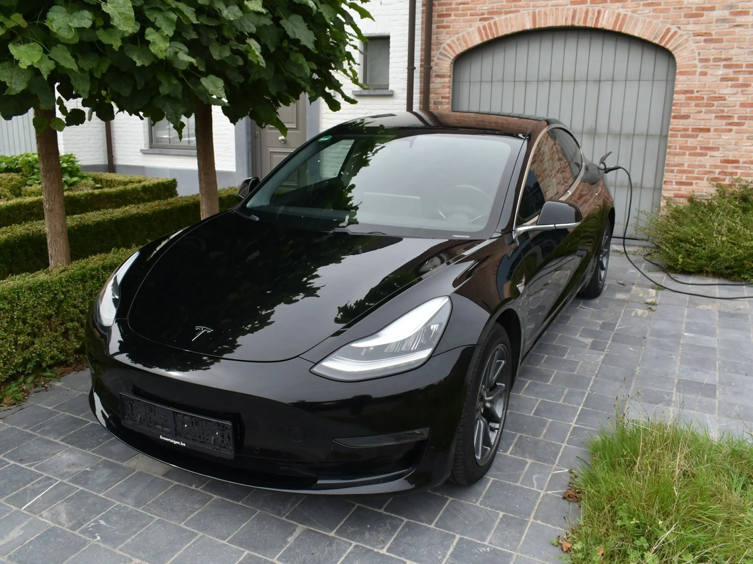 Tesla Model 3 2019