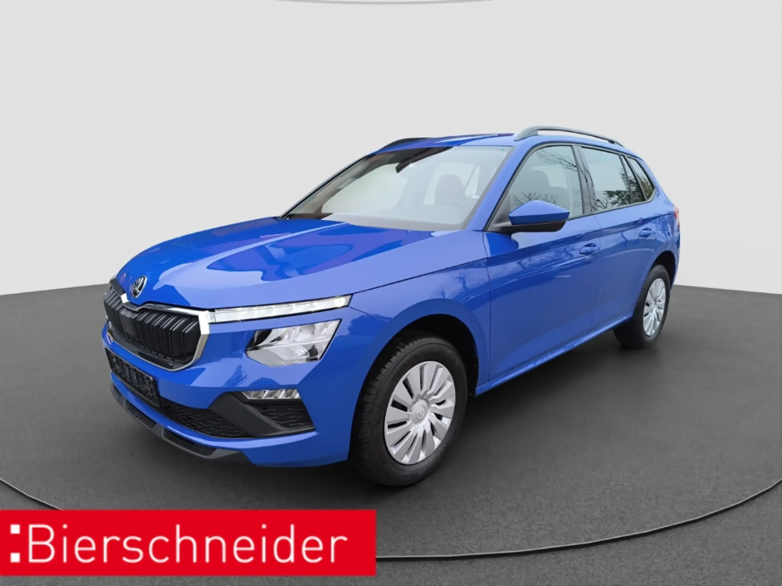 Skoda Kamiq 2018