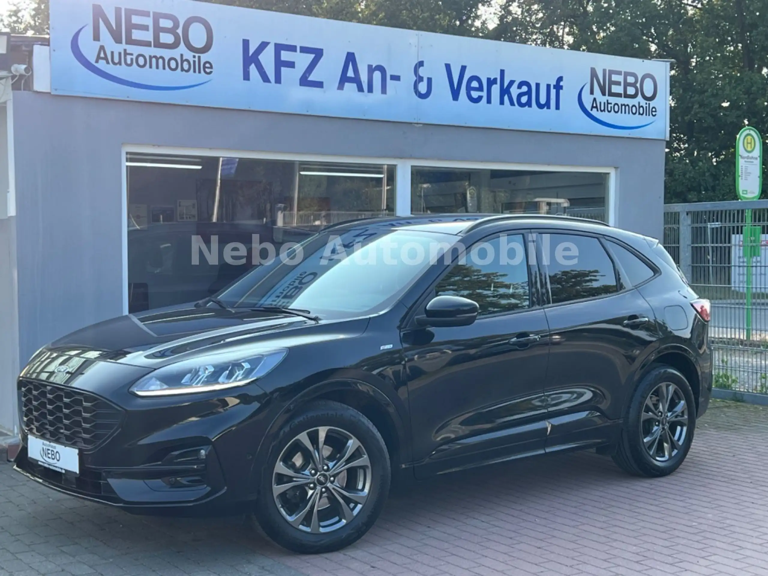 Ford - Kuga