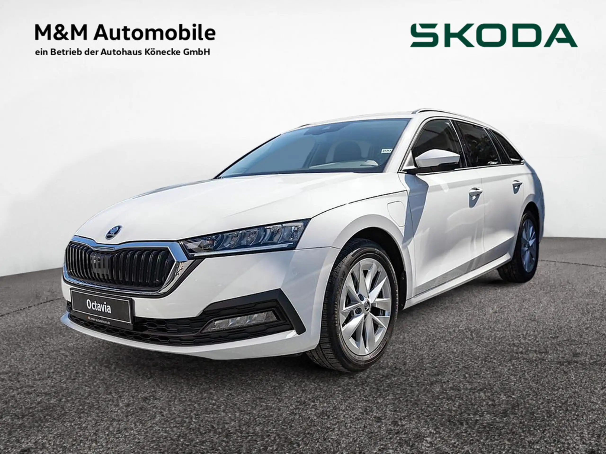 Skoda - Octavia