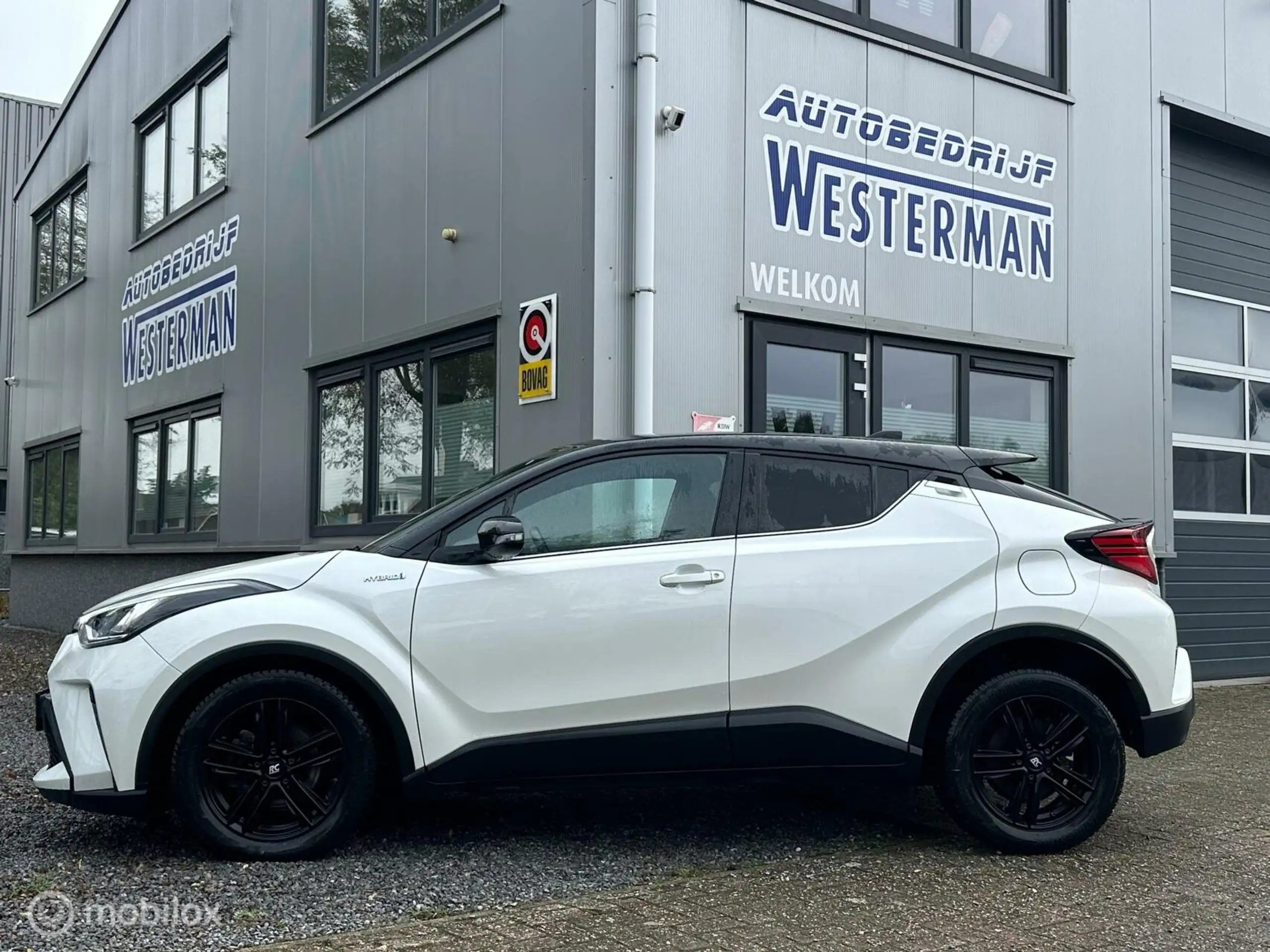 Toyota - C-HR