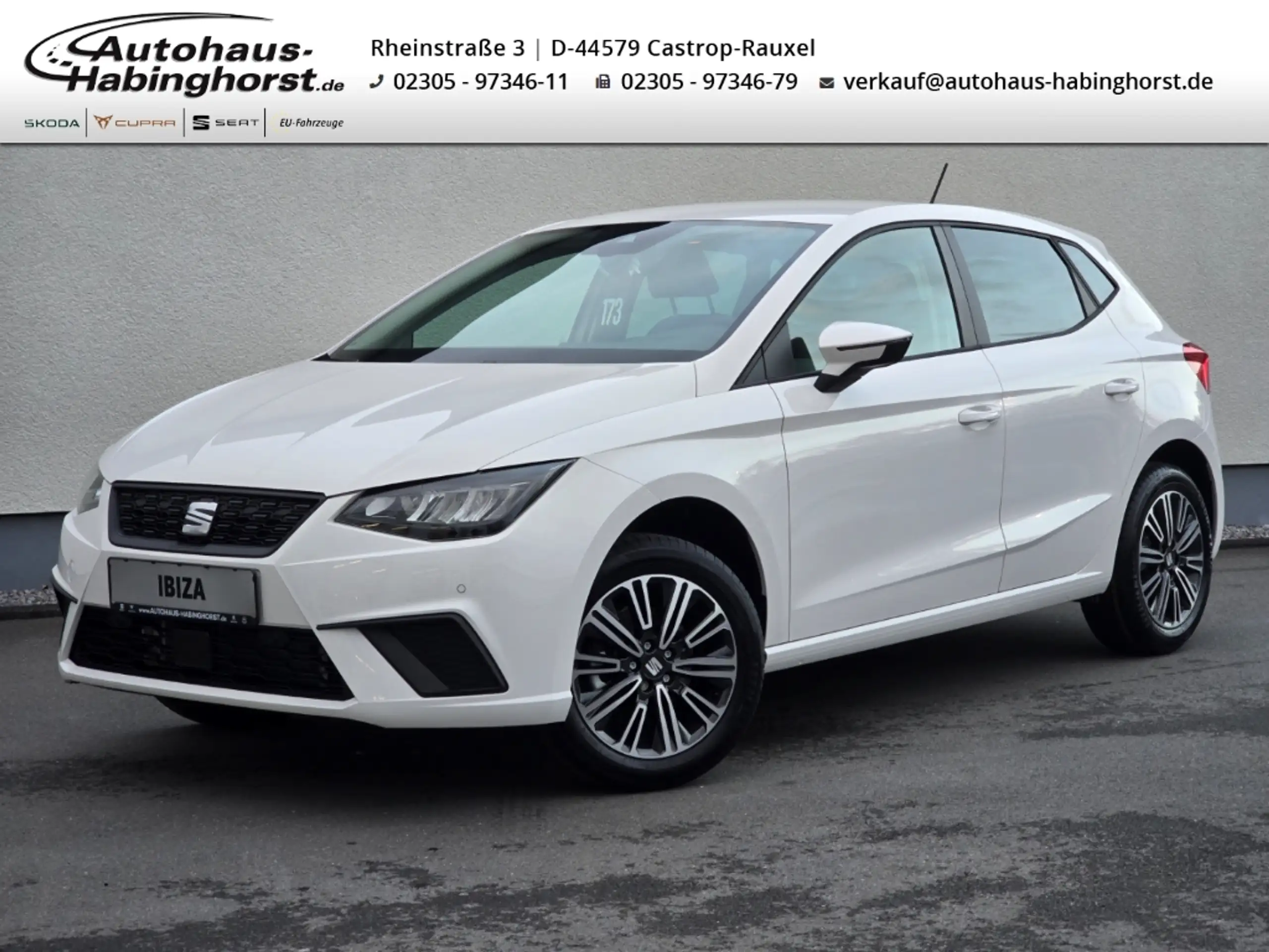 SEAT Ibiza 2024