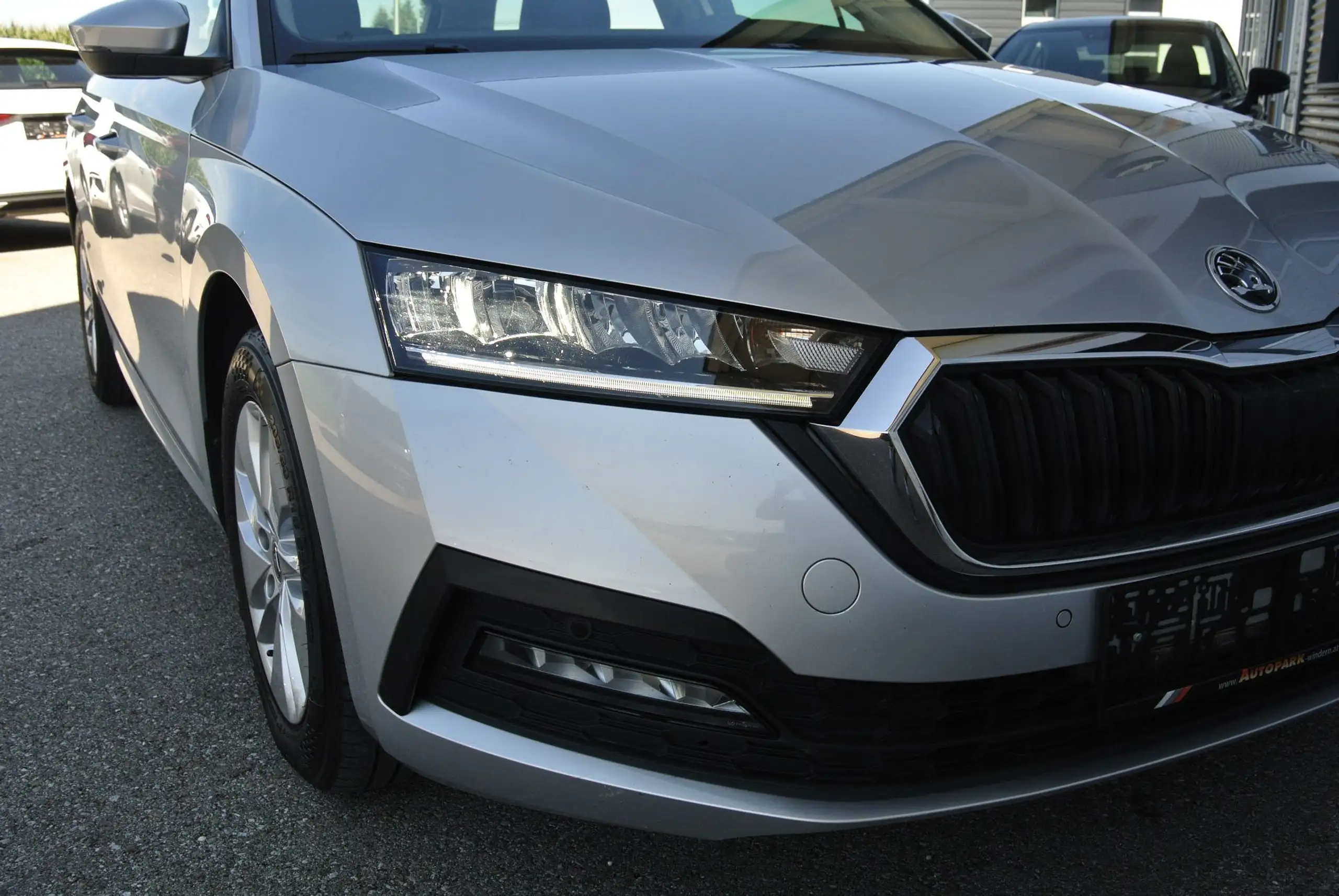 Skoda - Octavia