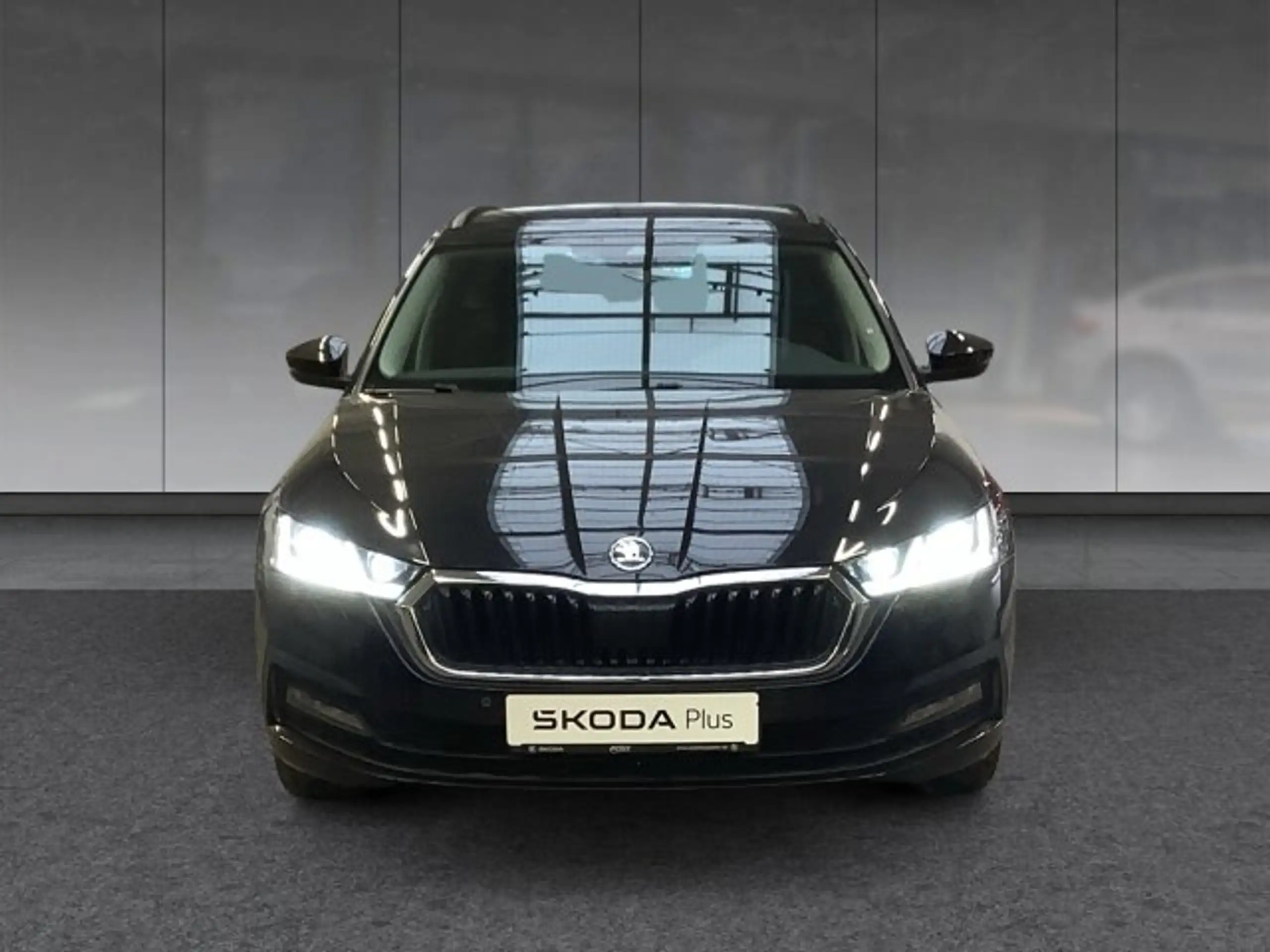 Skoda - Octavia