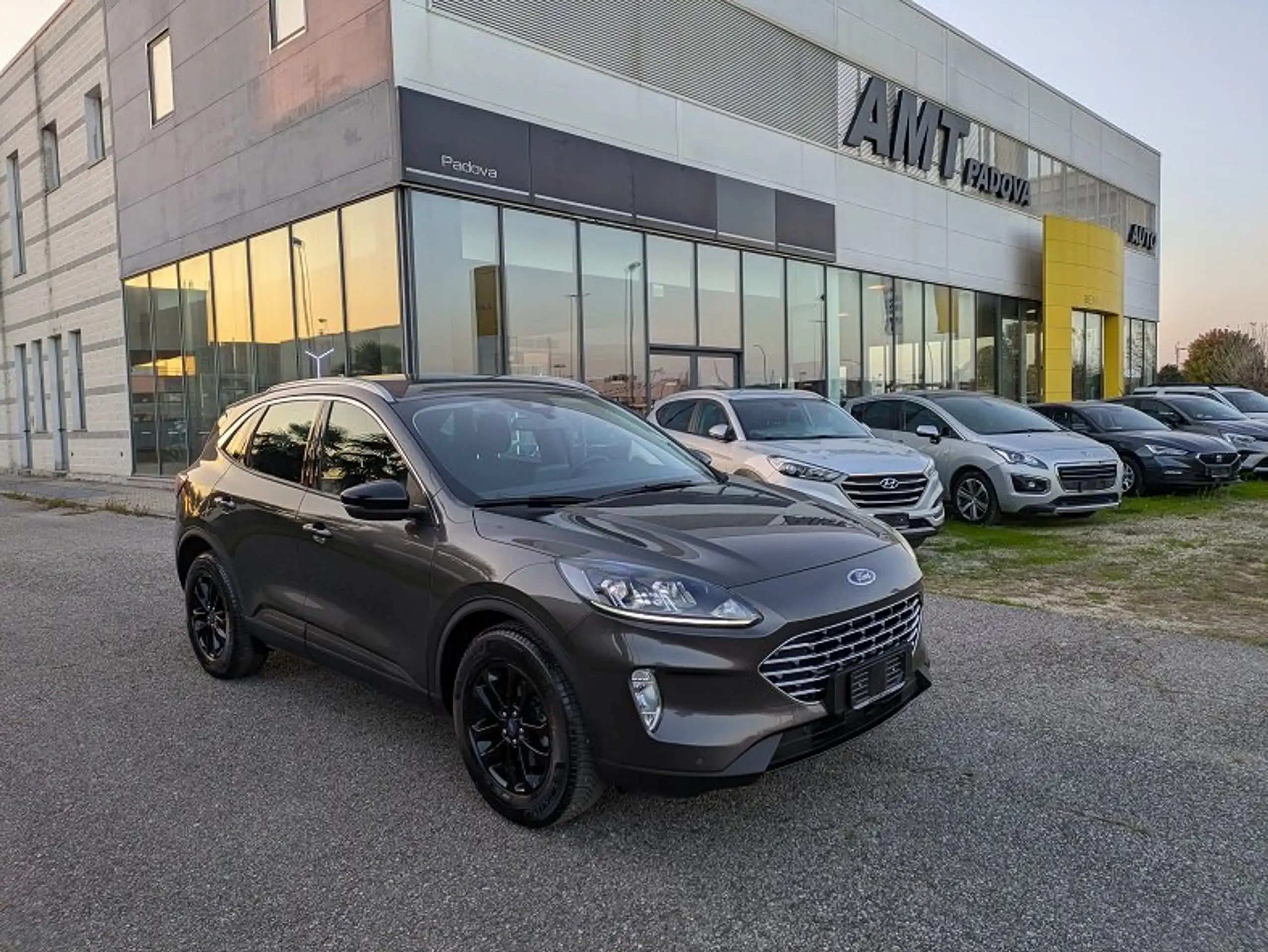 Ford Kuga 2022