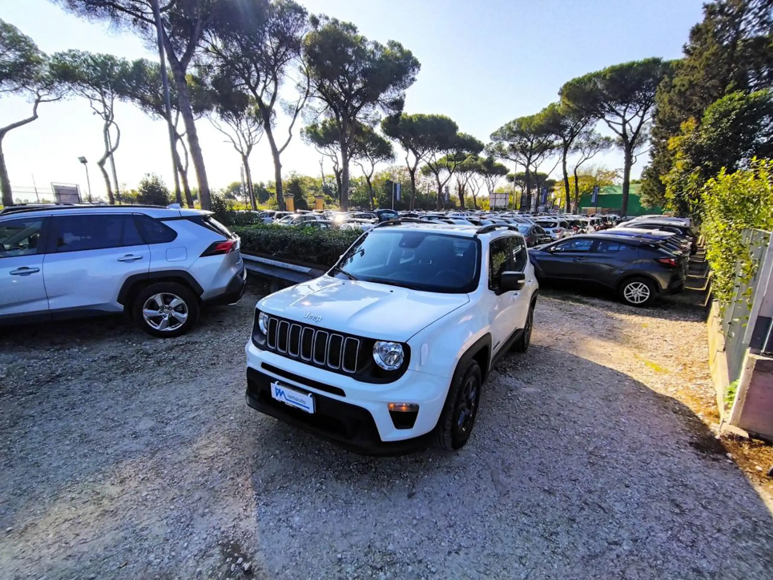 Jeep - Renegade