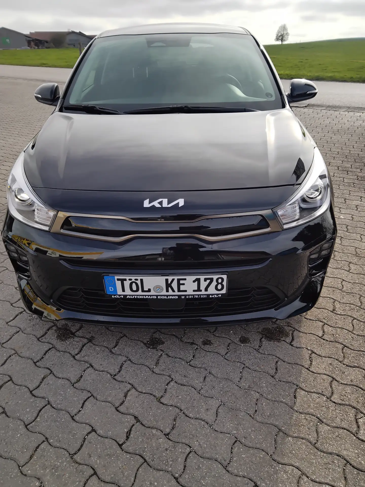 Kia - Rio