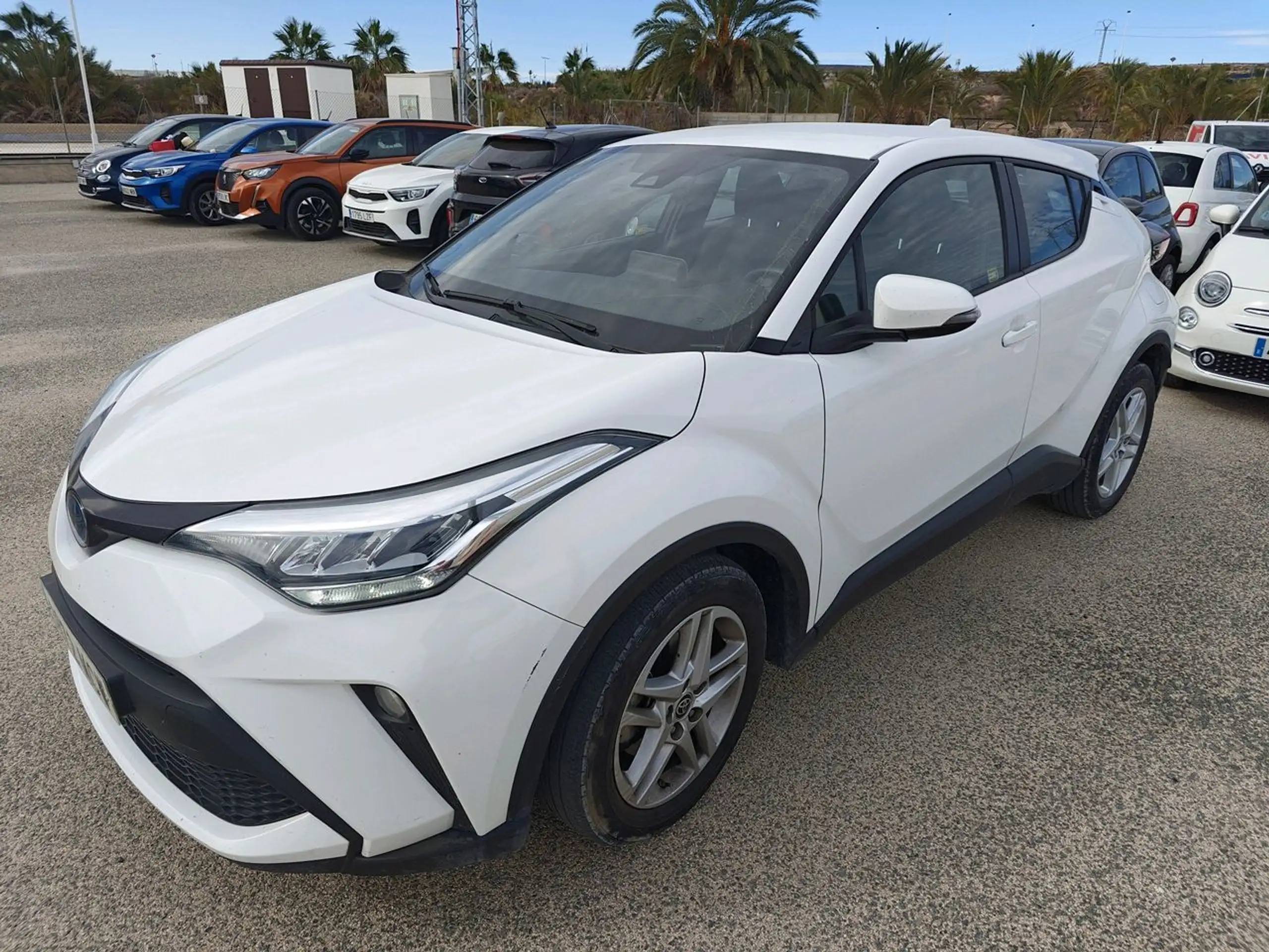 Toyota - C-HR