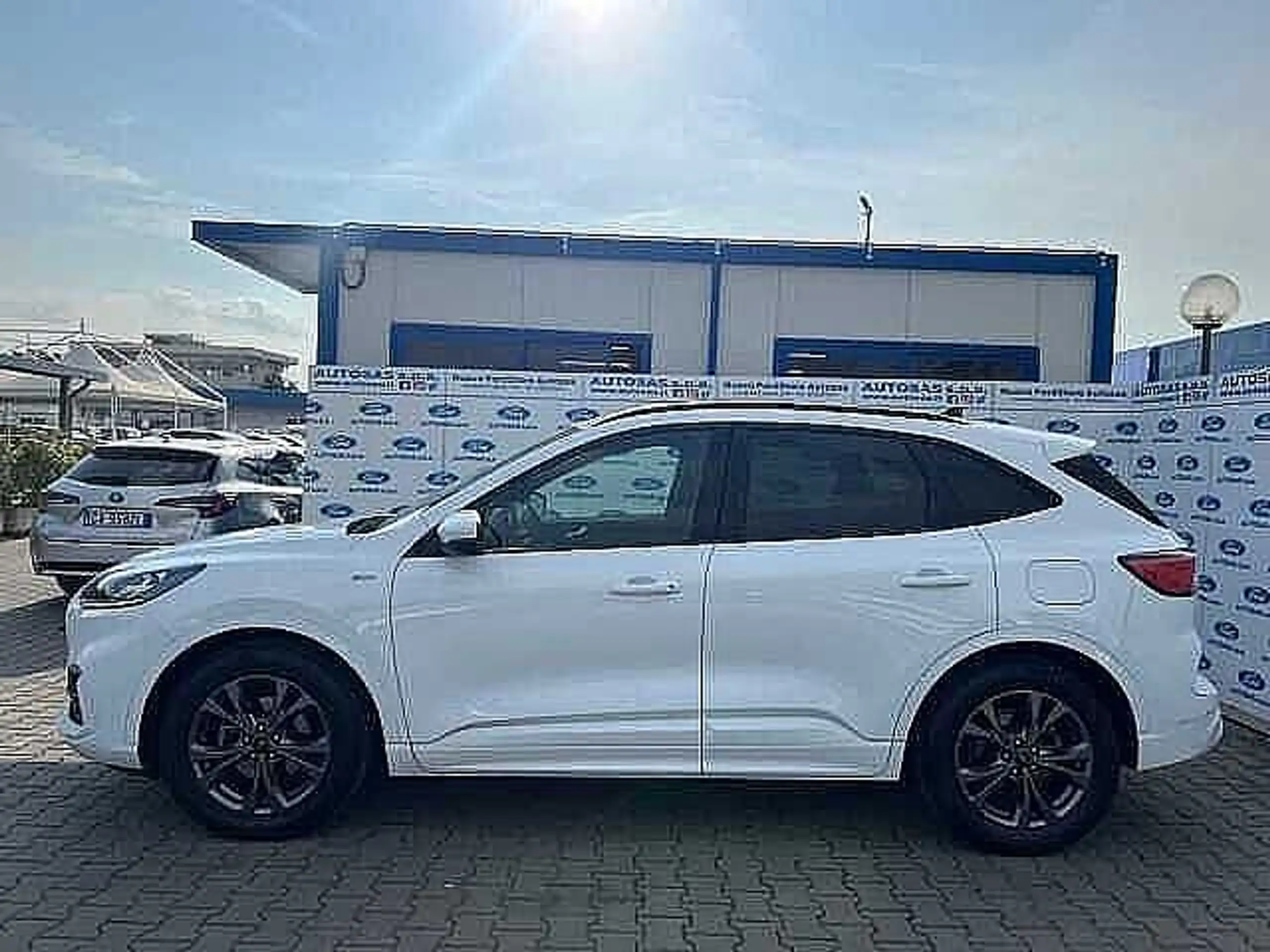 Ford - Kuga