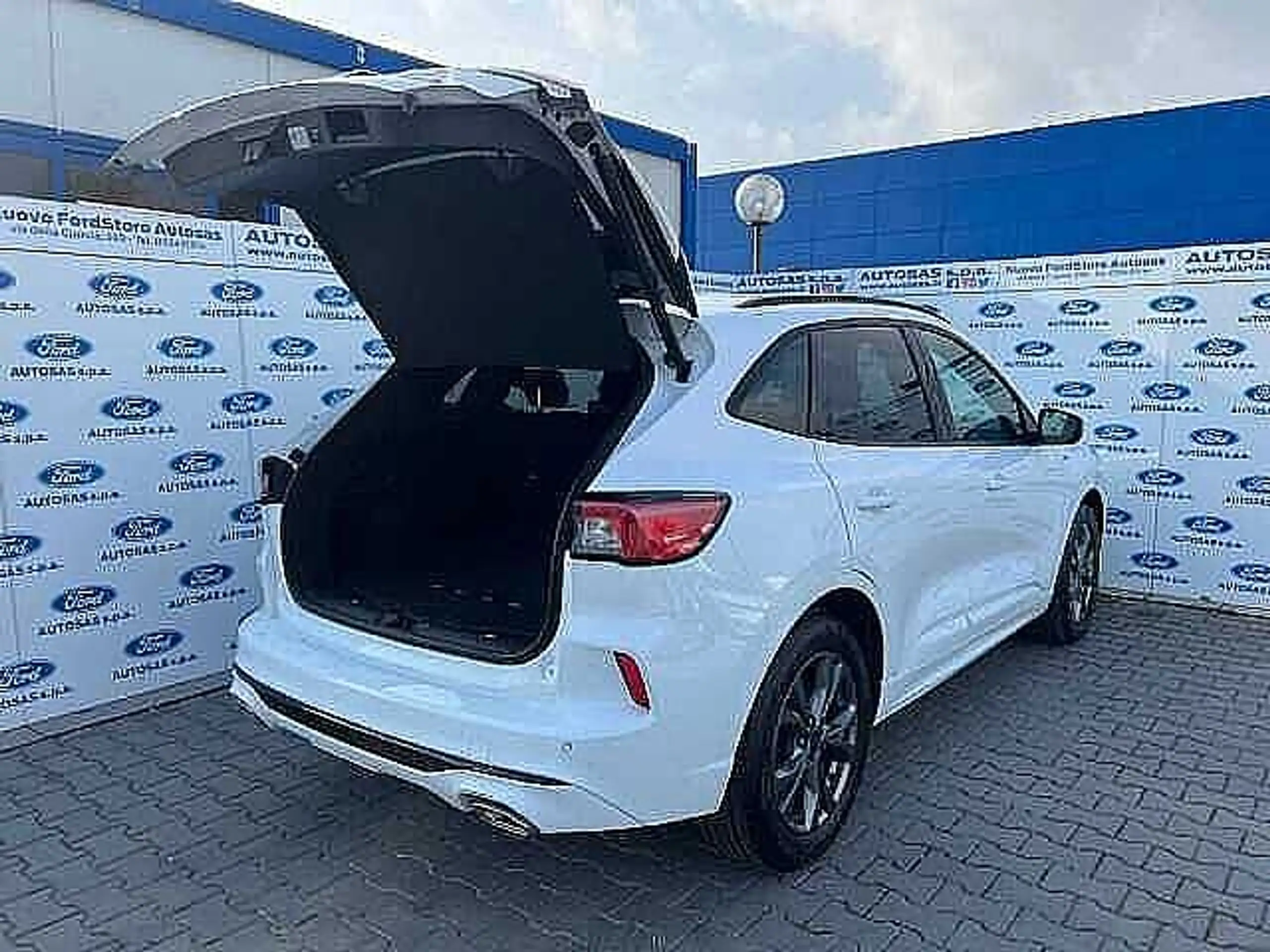 Ford - Kuga