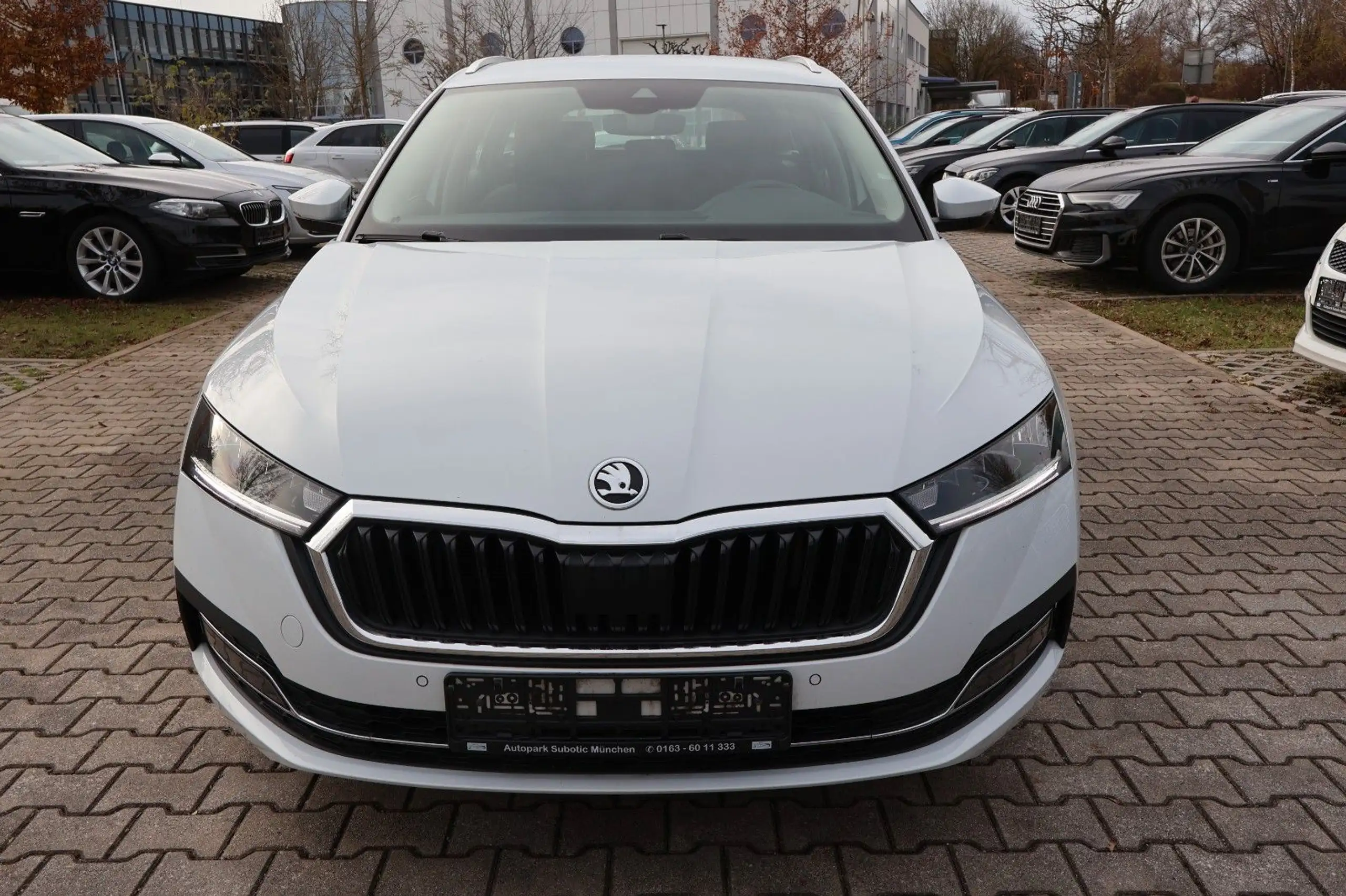 Skoda - Octavia