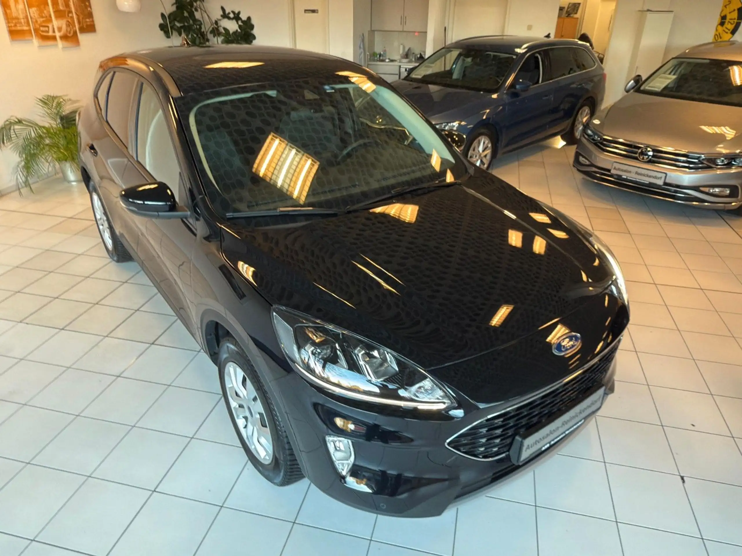 Ford - Kuga