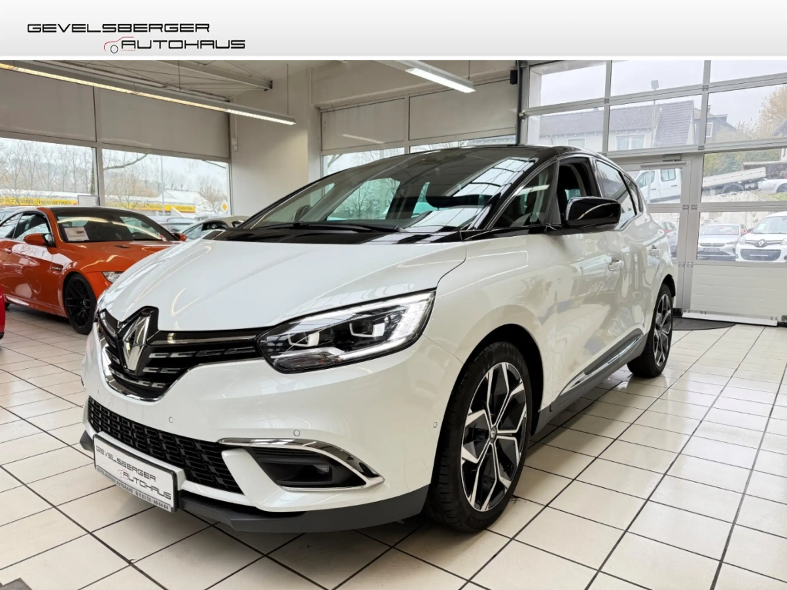 Renault - Scenic