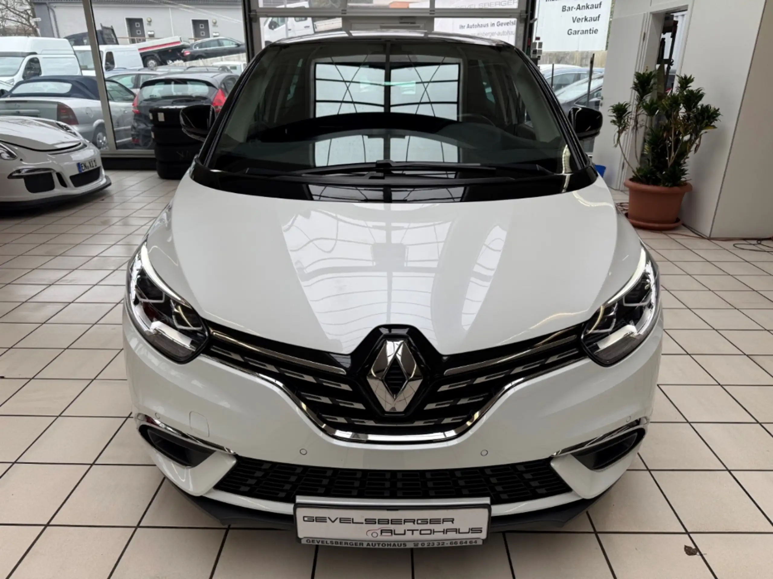 Renault - Scenic