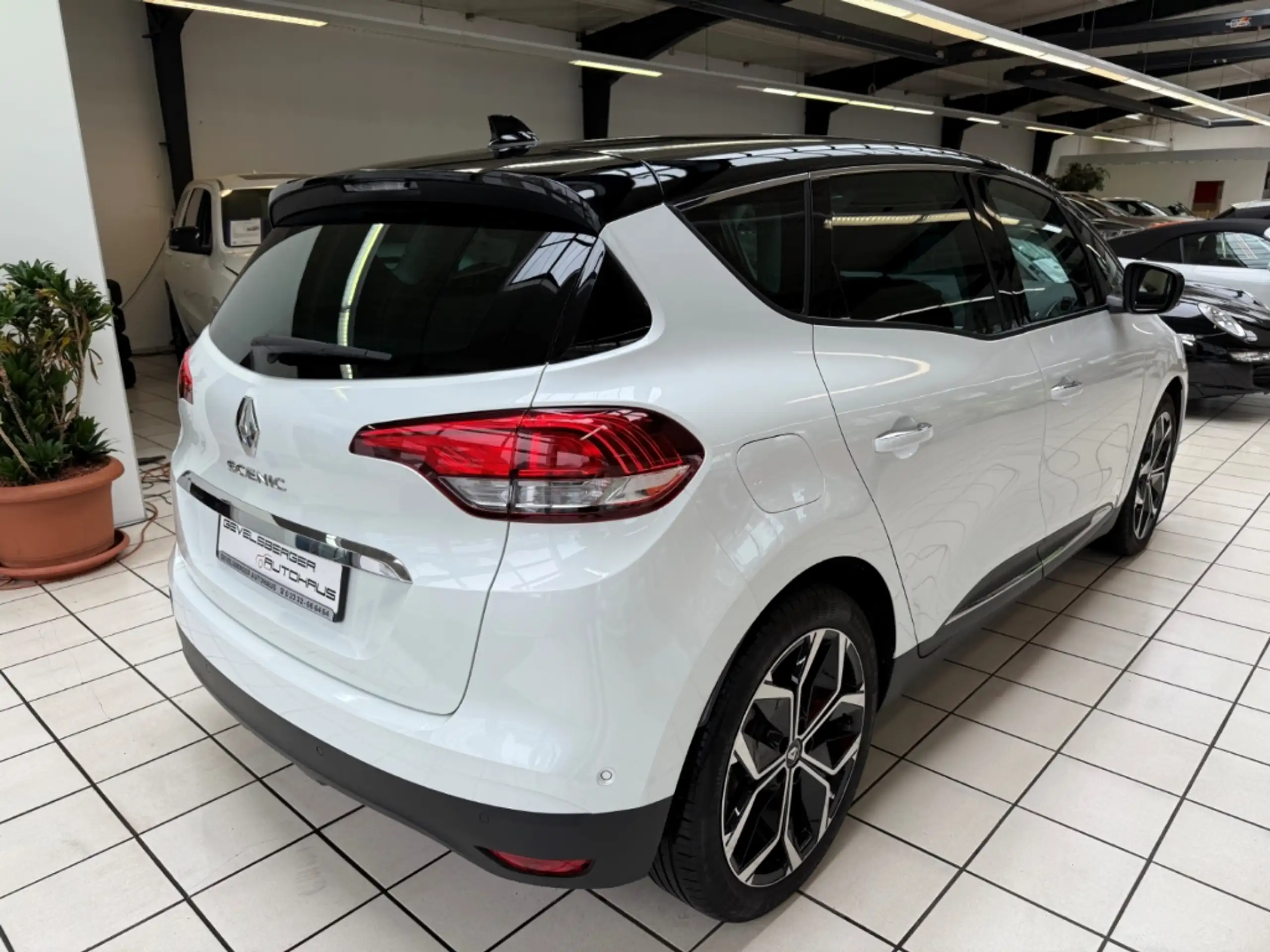 Renault - Scenic