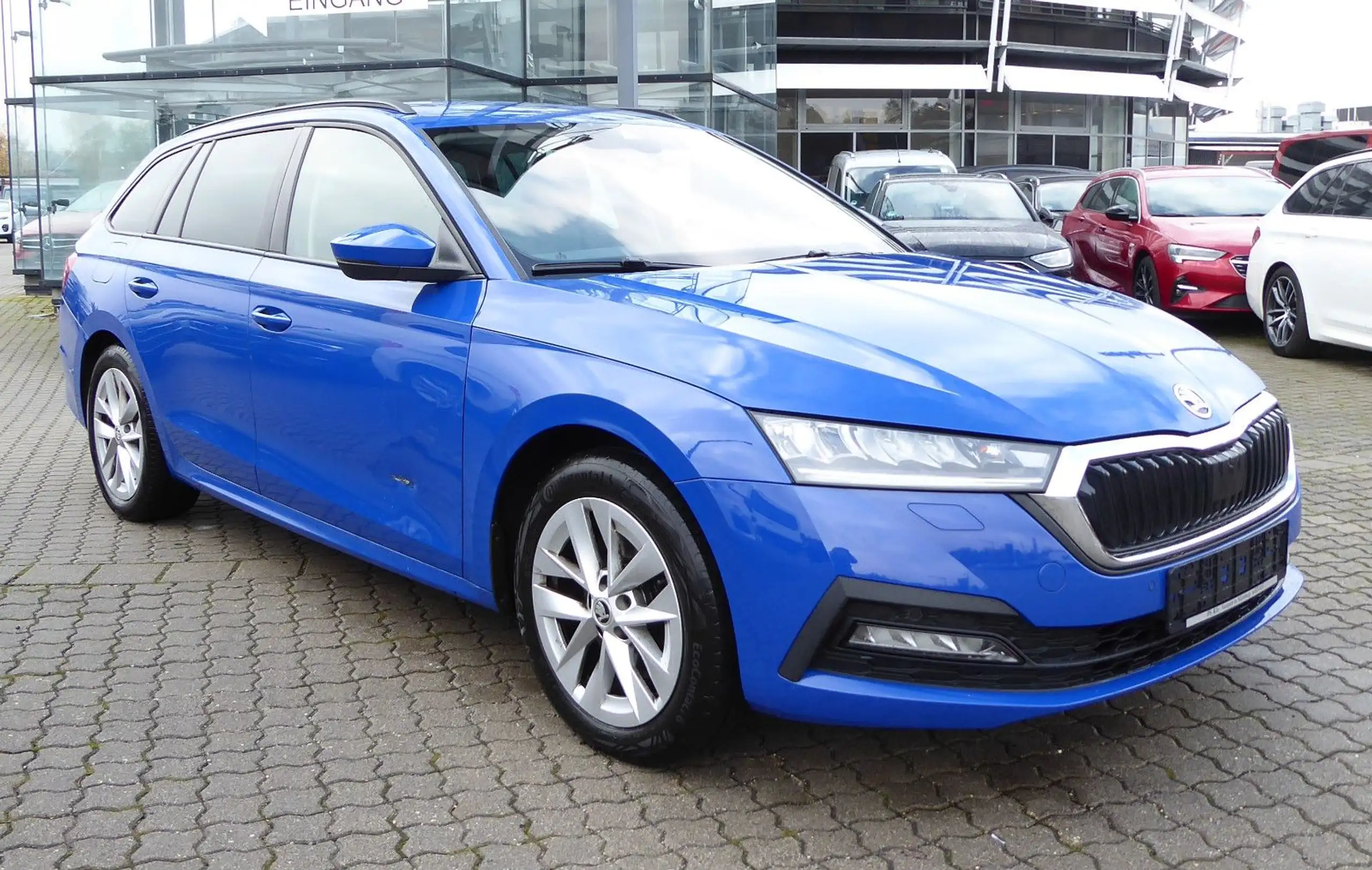 Skoda - Octavia