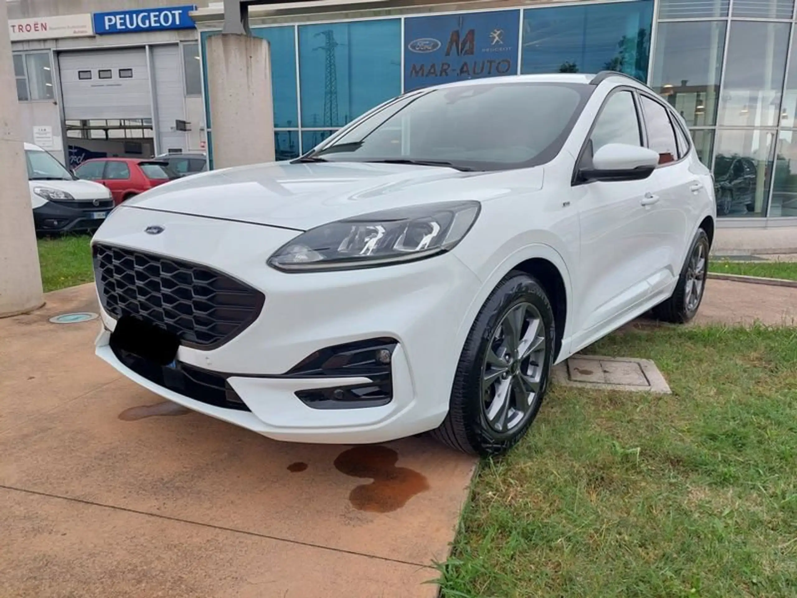 Ford - Kuga