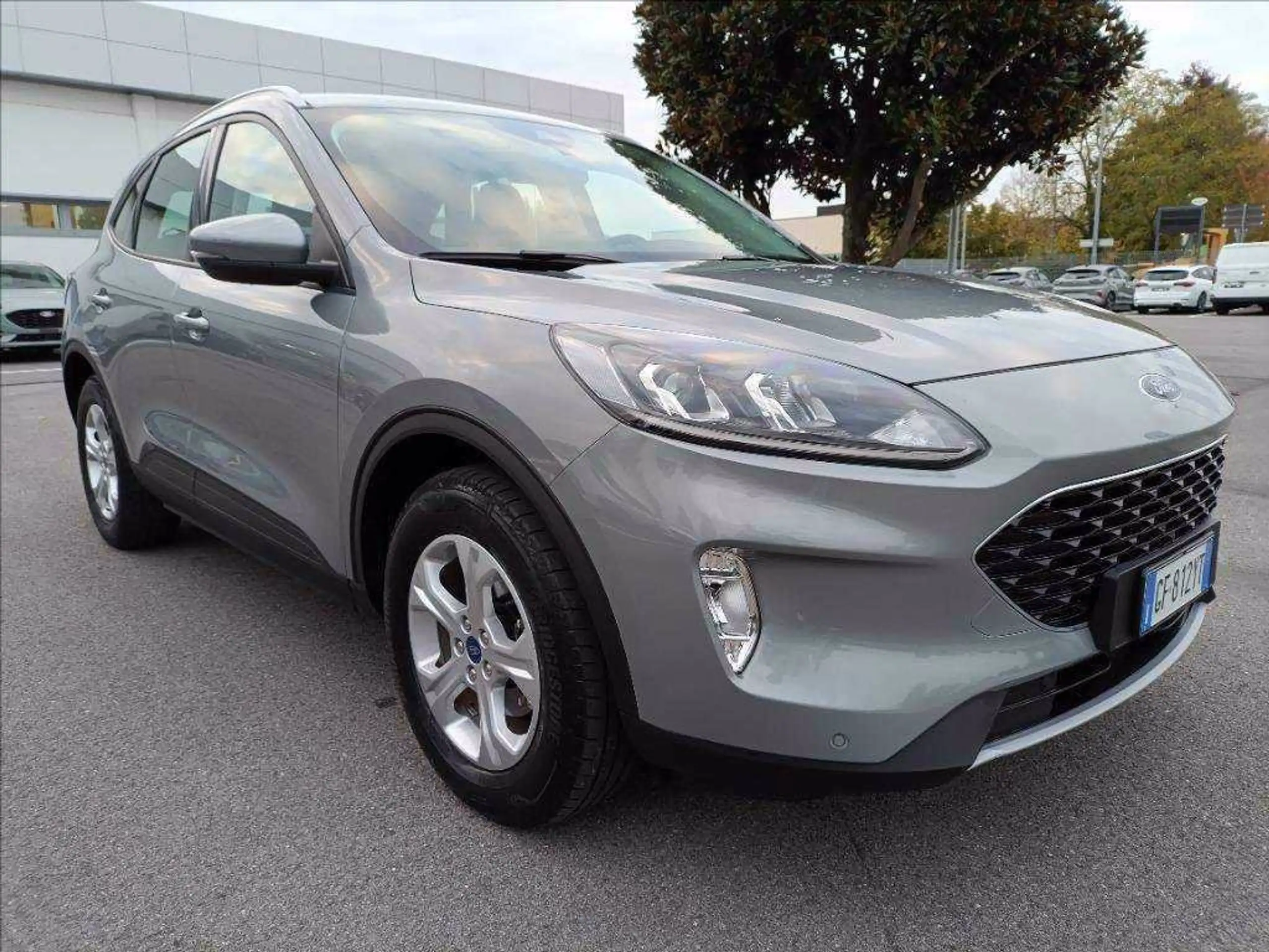 Ford - Kuga