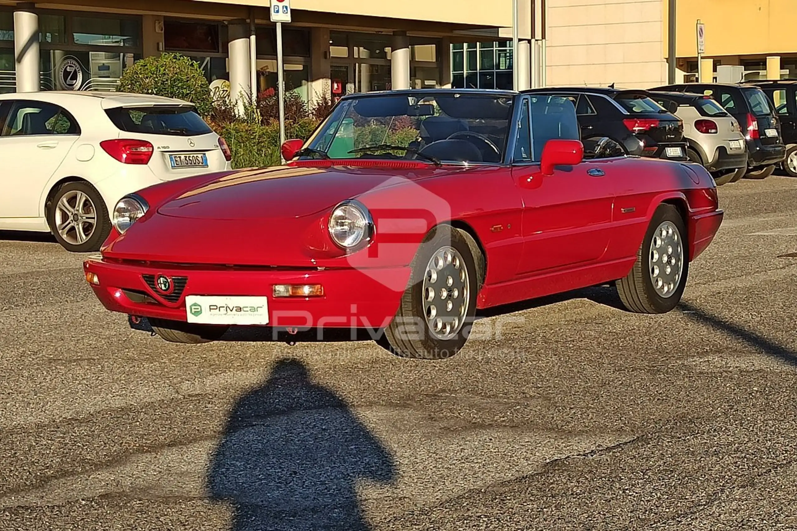 Alfa Romeo - Spider