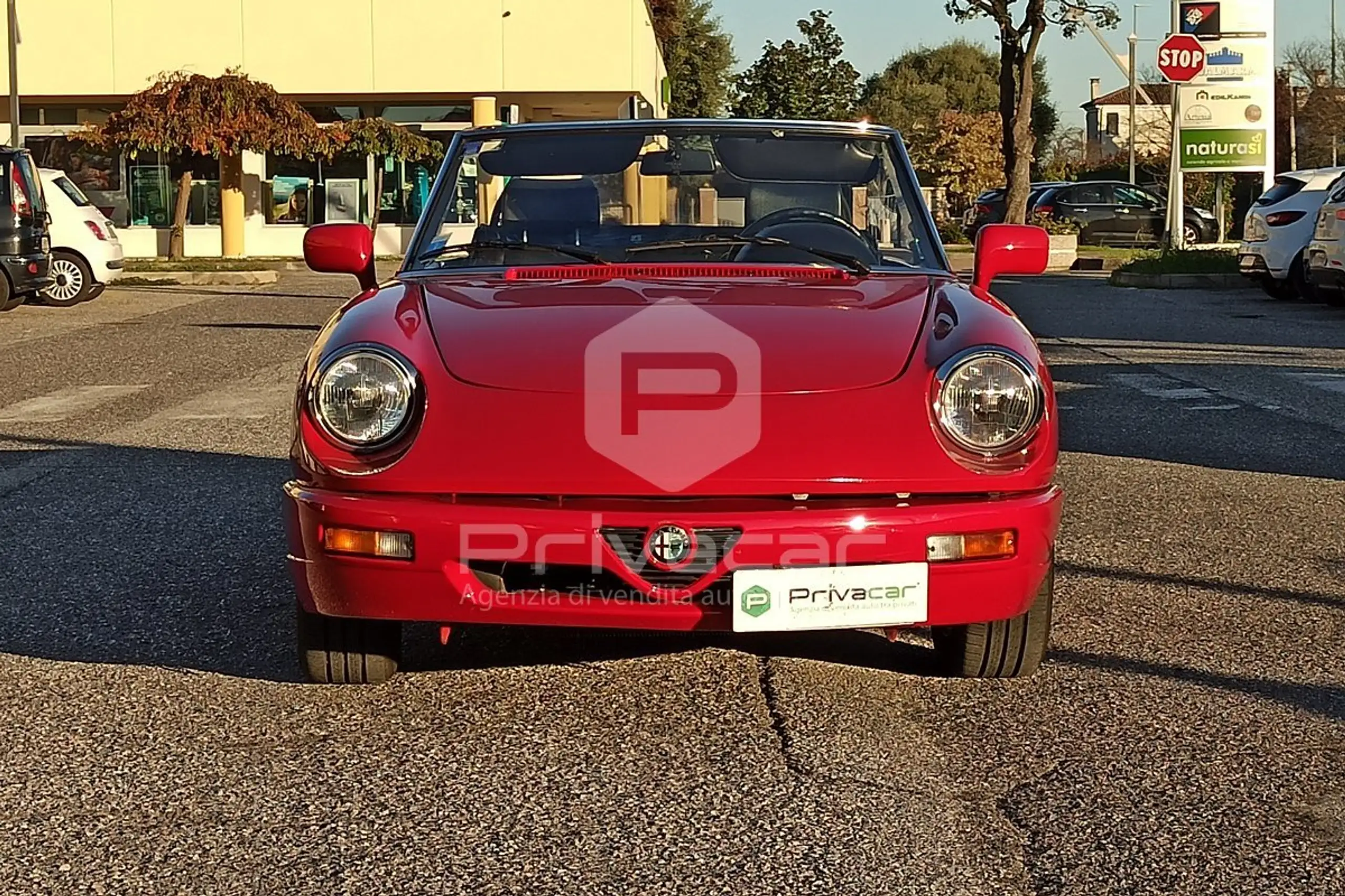 Alfa Romeo - Spider