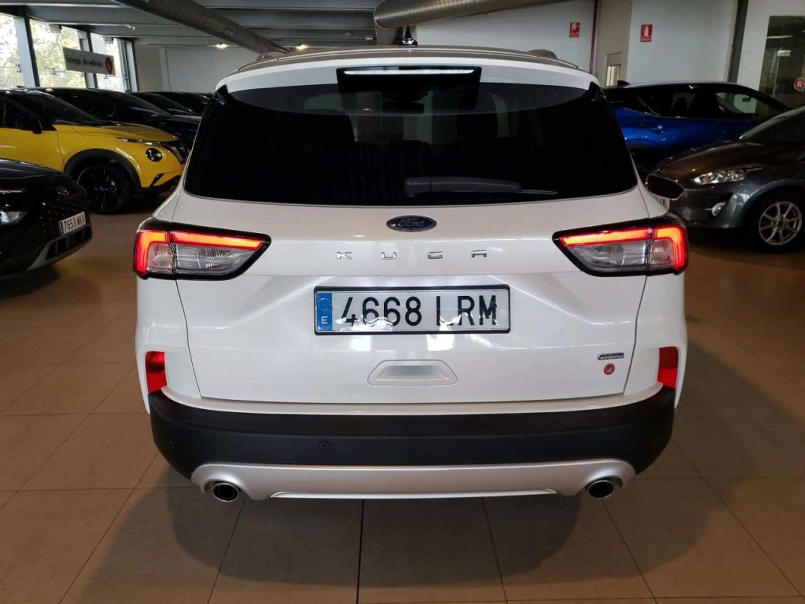 Ford - Kuga