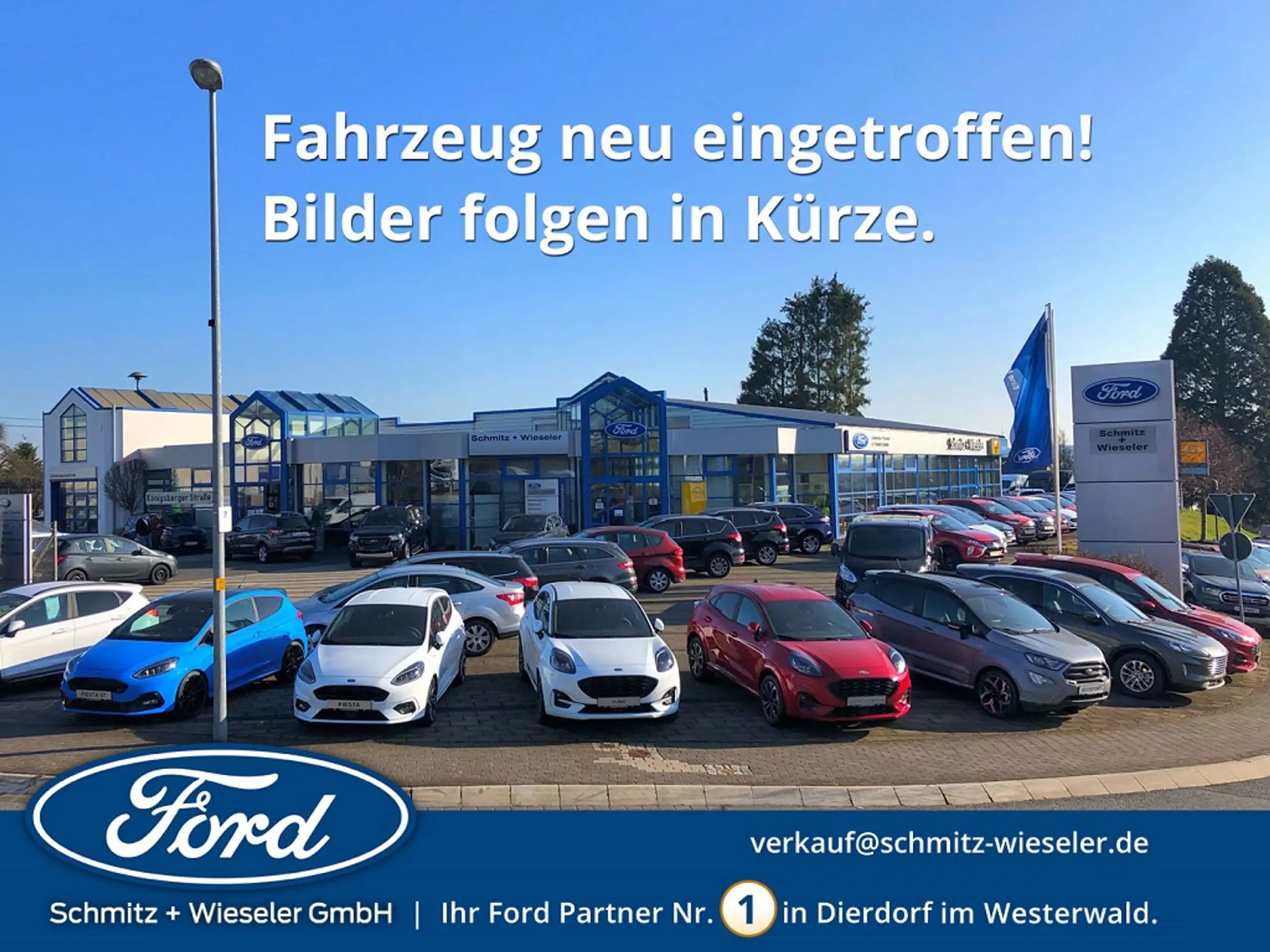 Ford Puma 2024