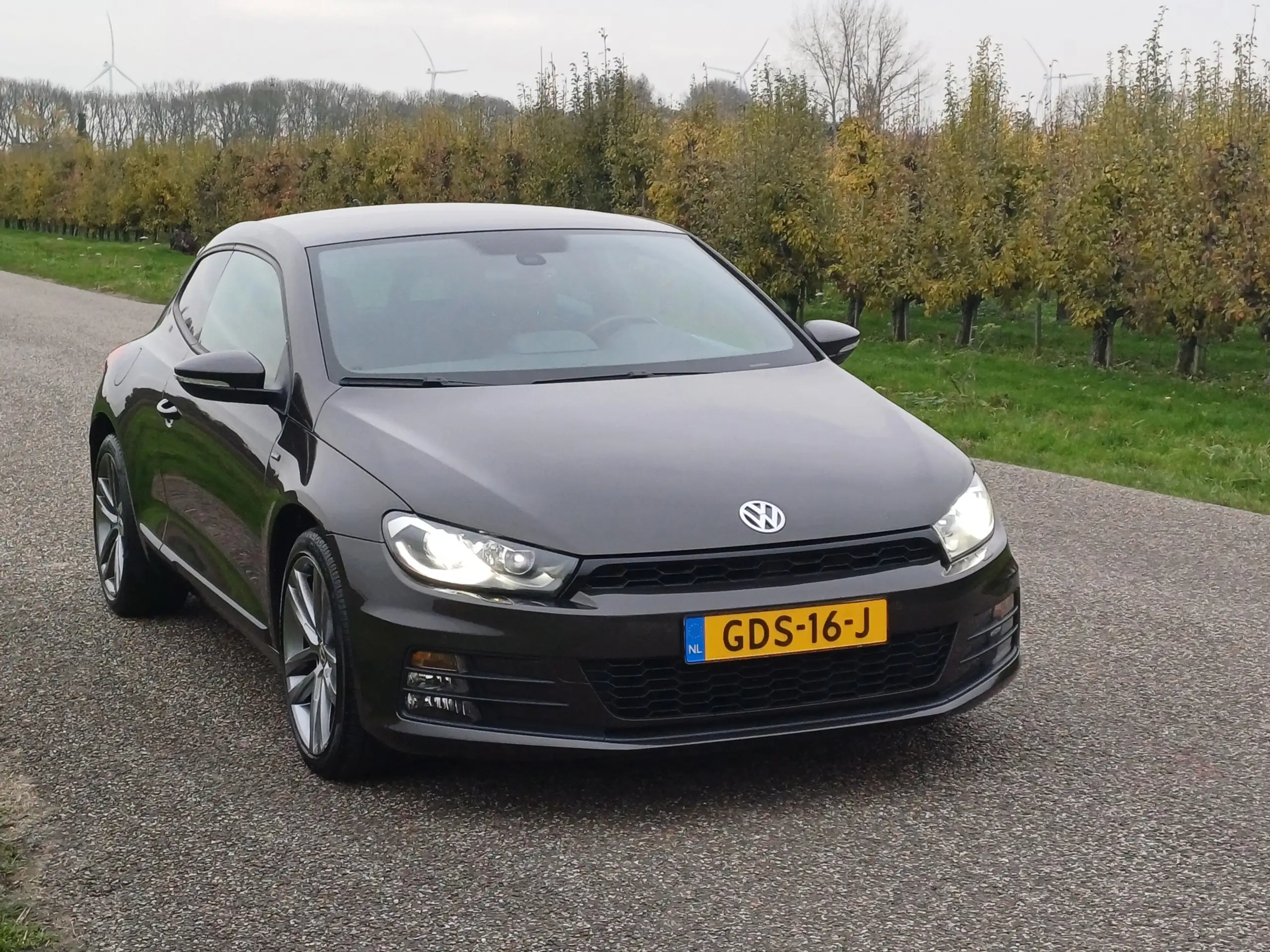 Volkswagen - Scirocco