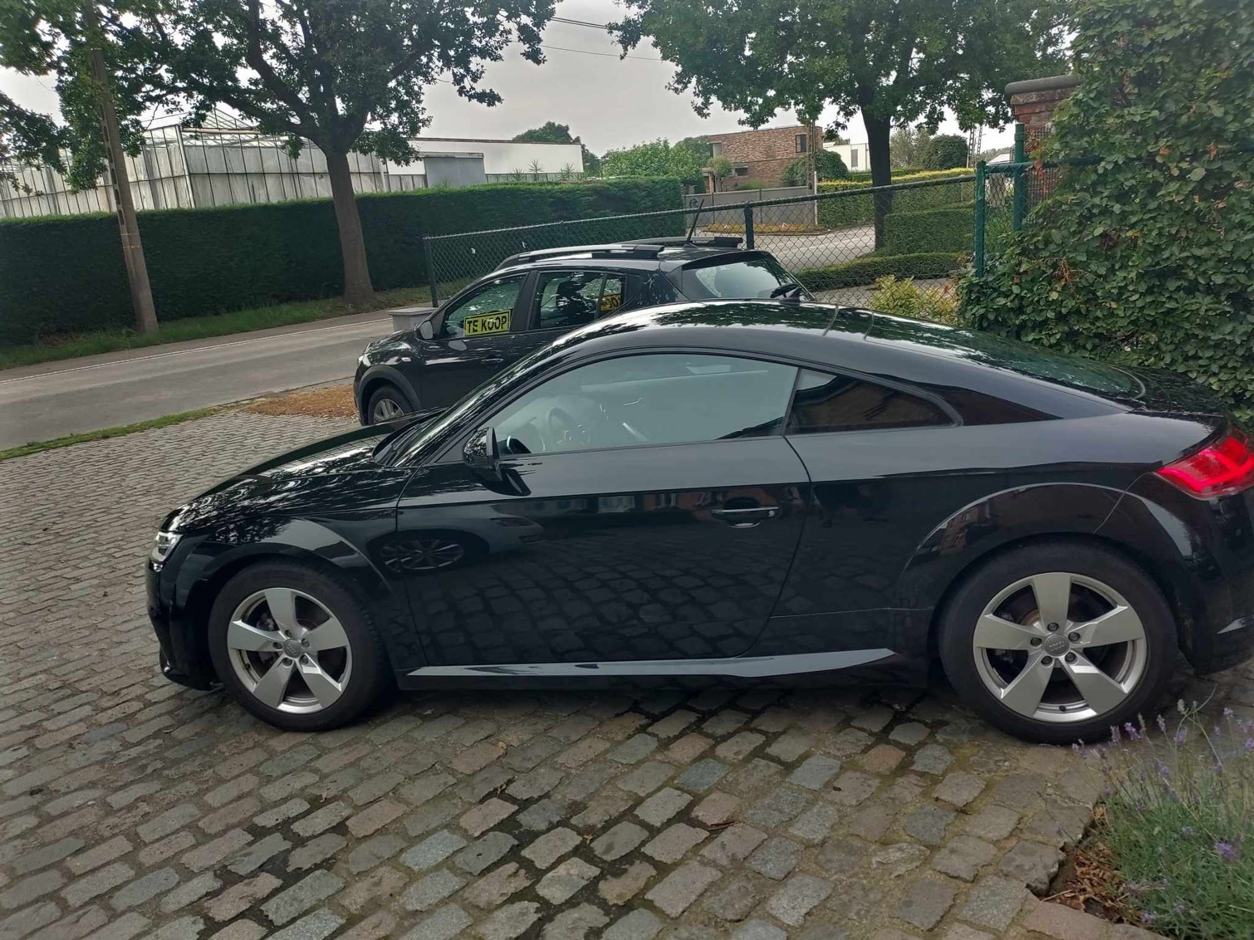 Audi - TT