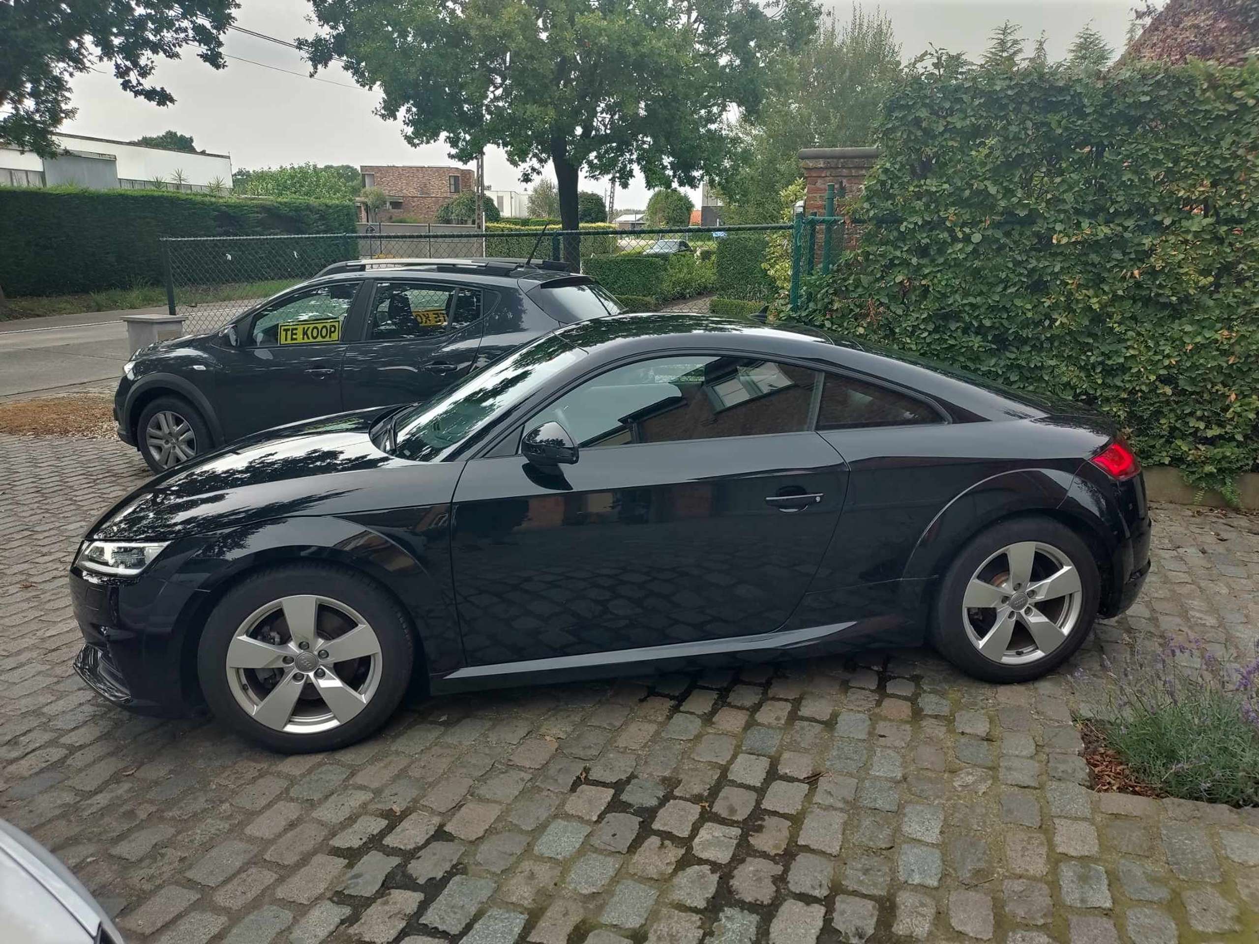 Audi - TT