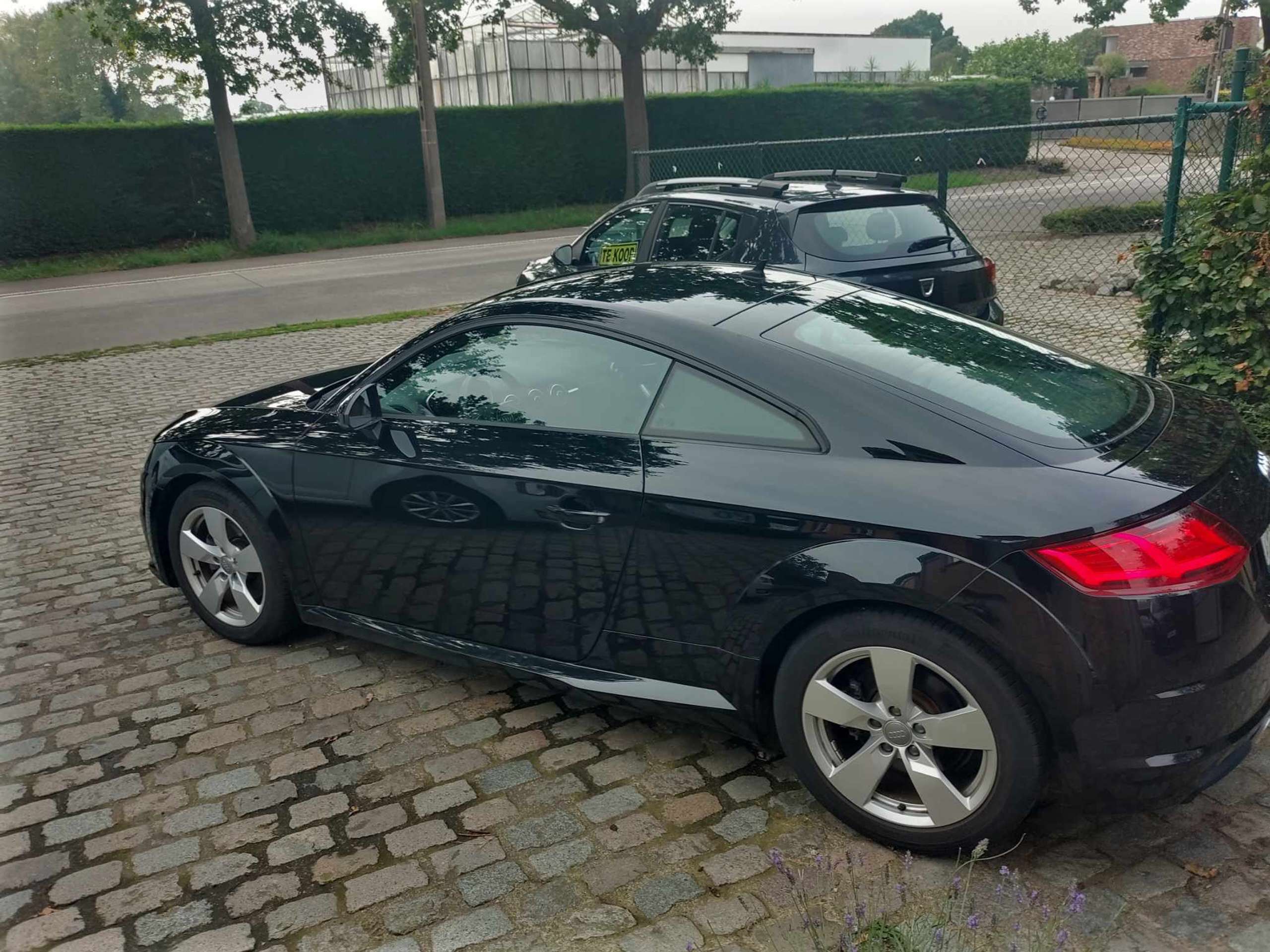 Audi - TT