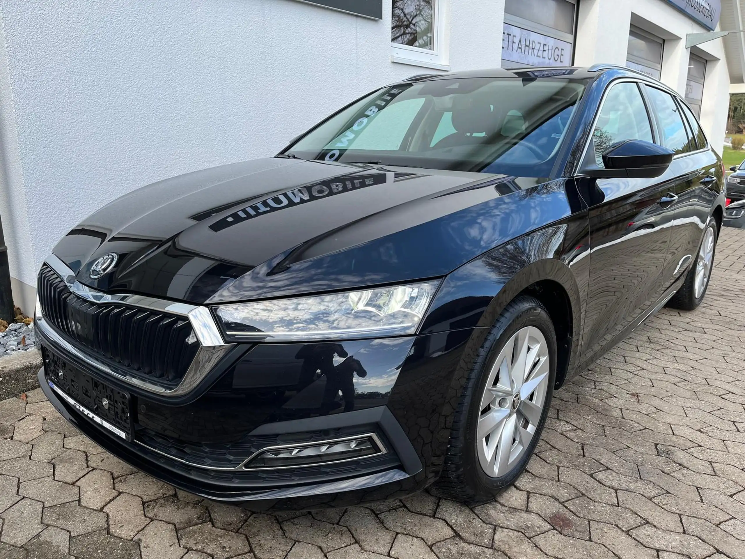 Skoda - Octavia