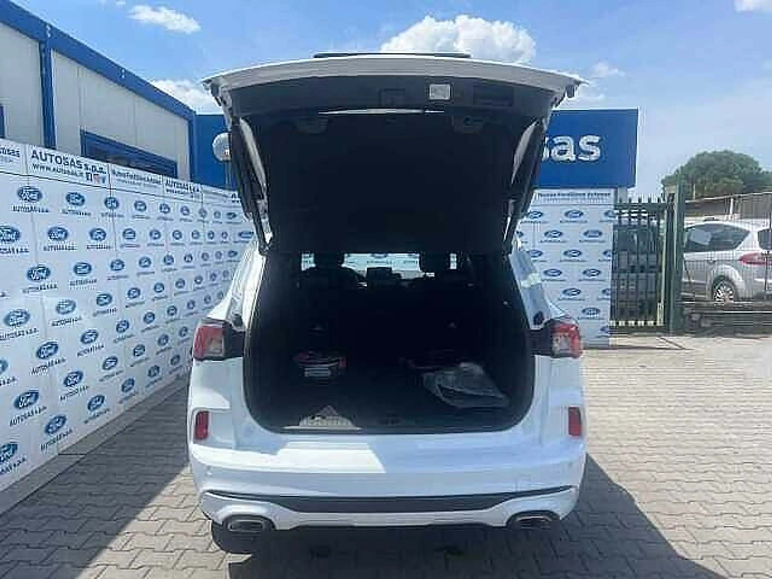 Ford - Kuga