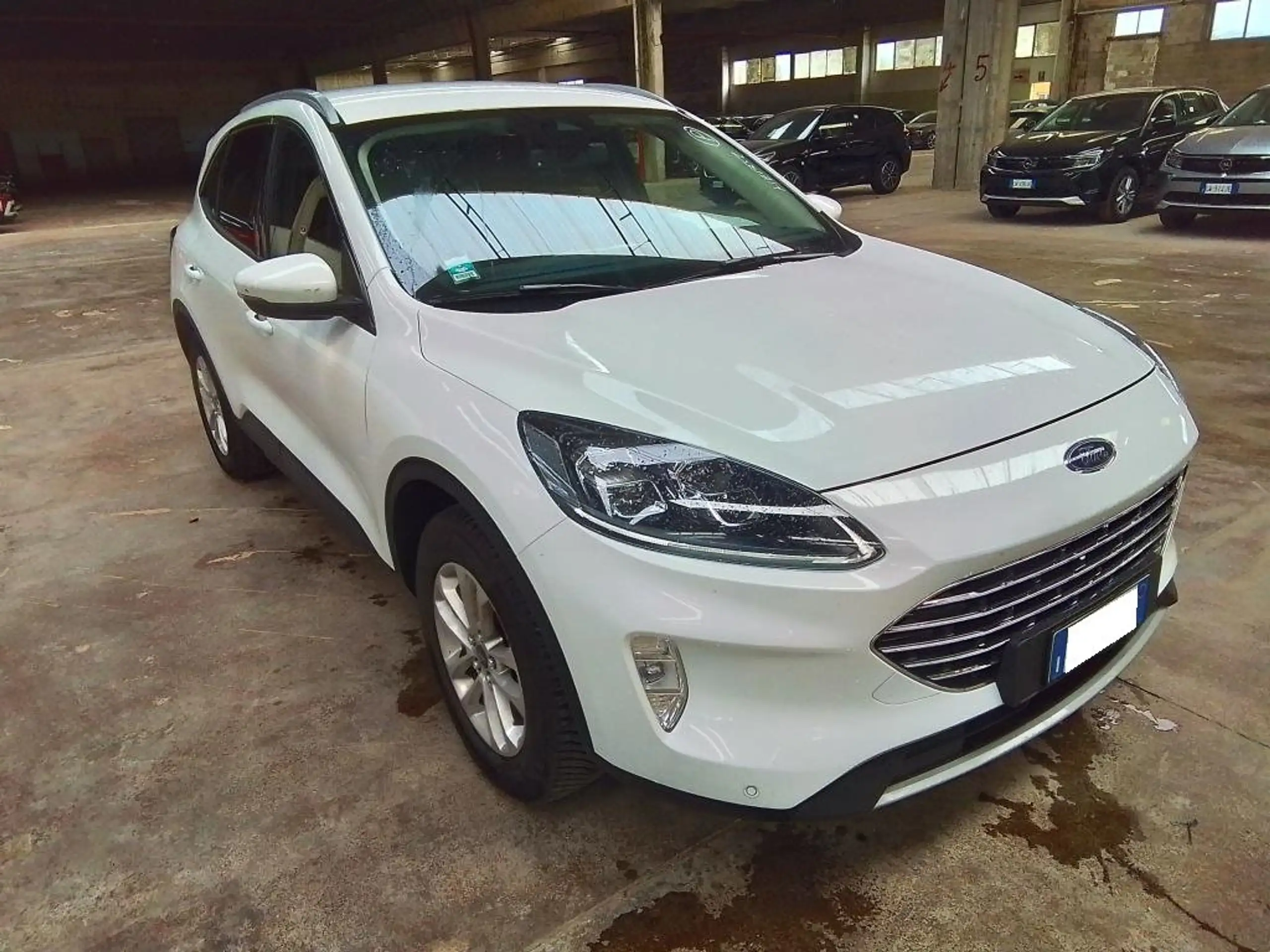 Ford - Kuga