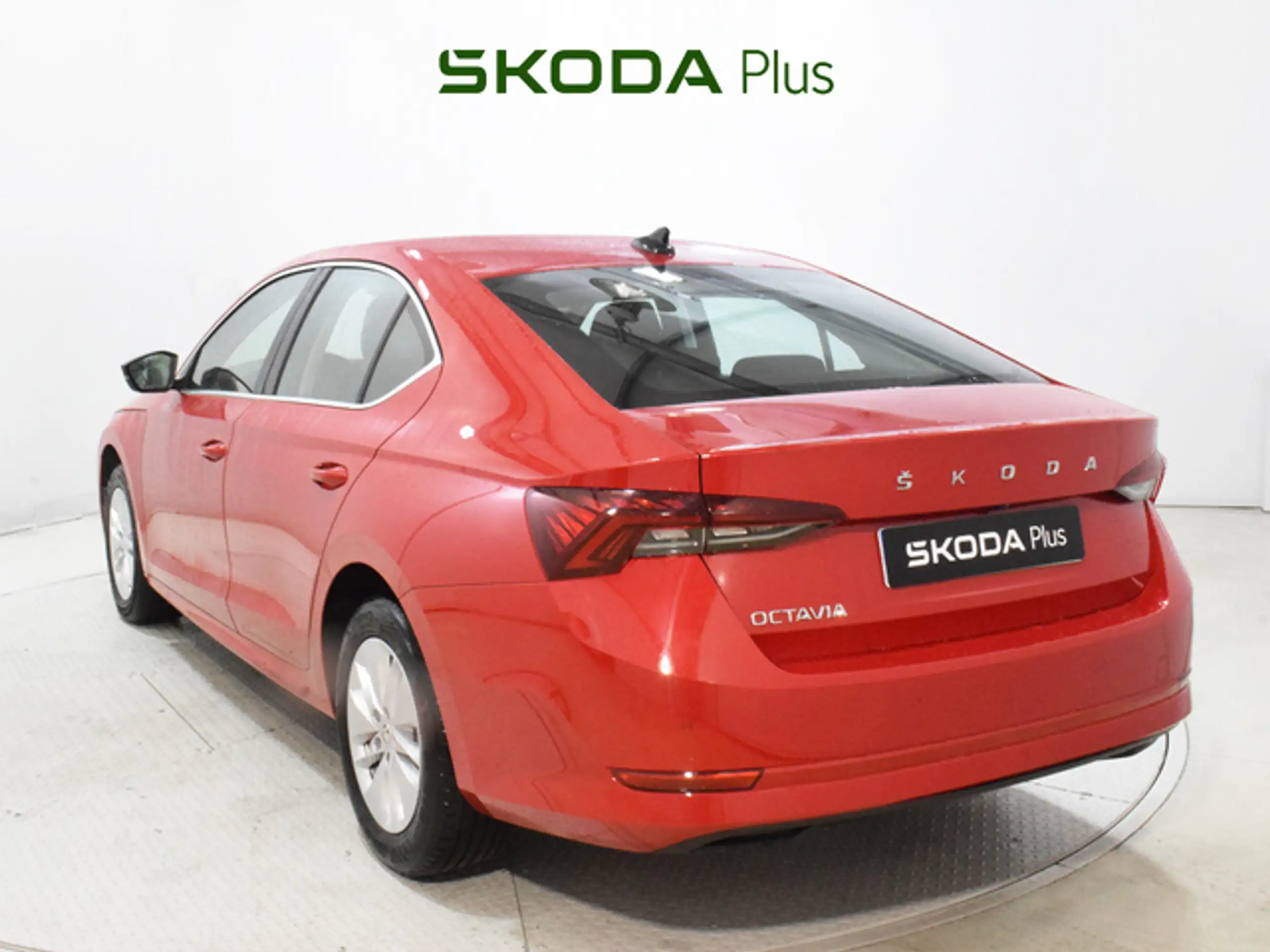 Skoda - Octavia