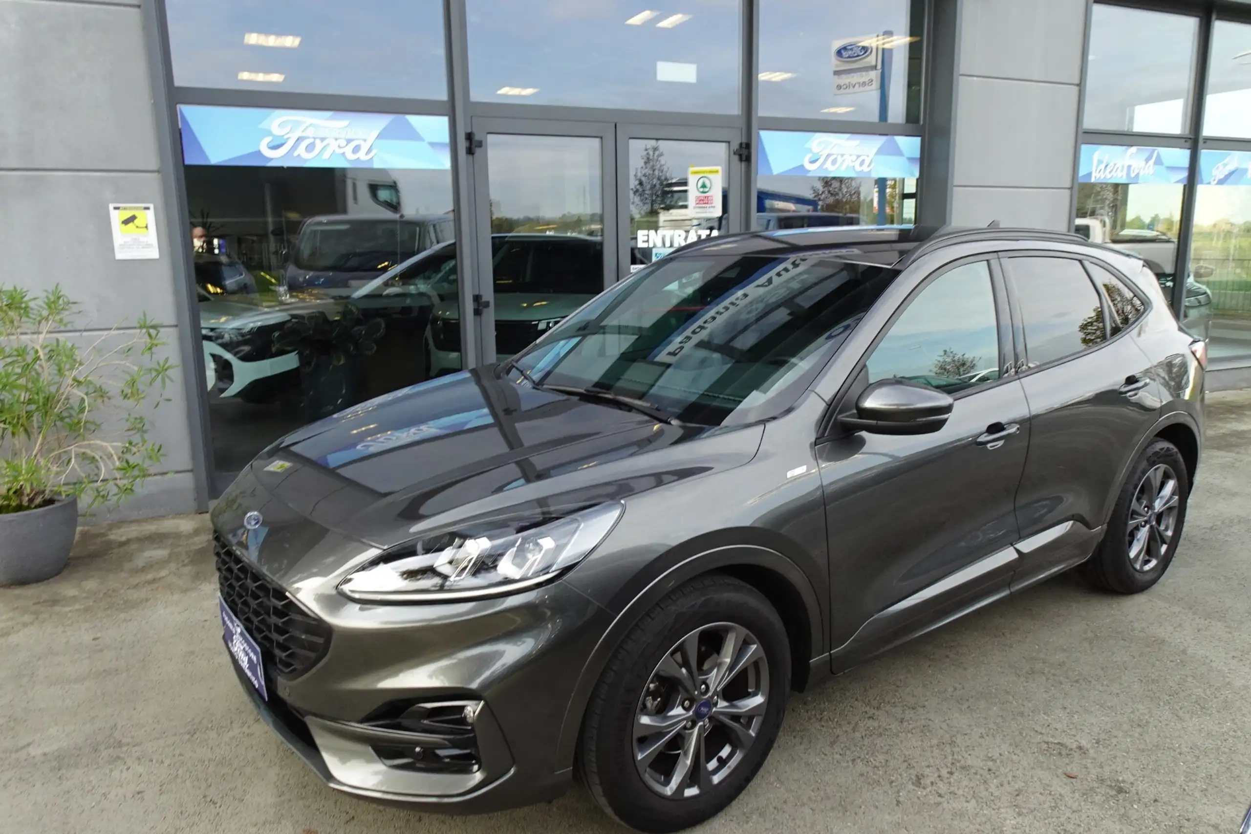 Ford - Kuga