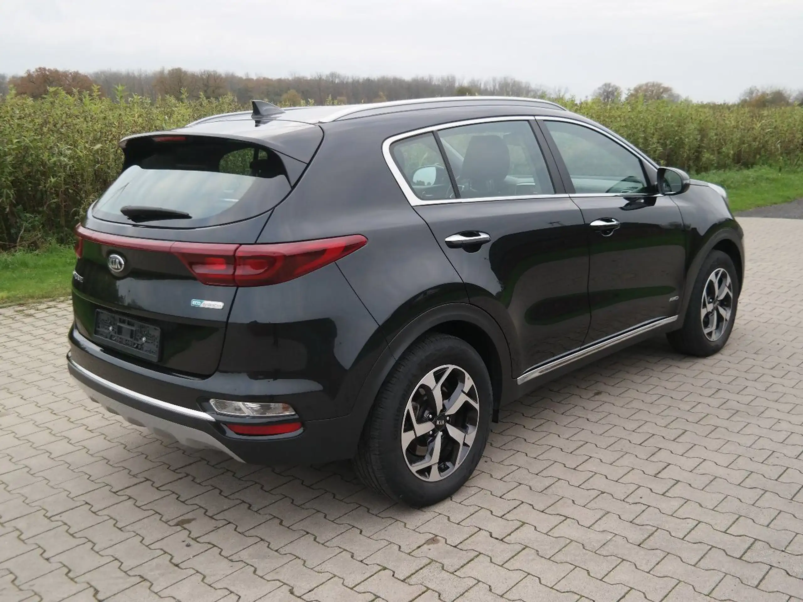 Kia - Sportage