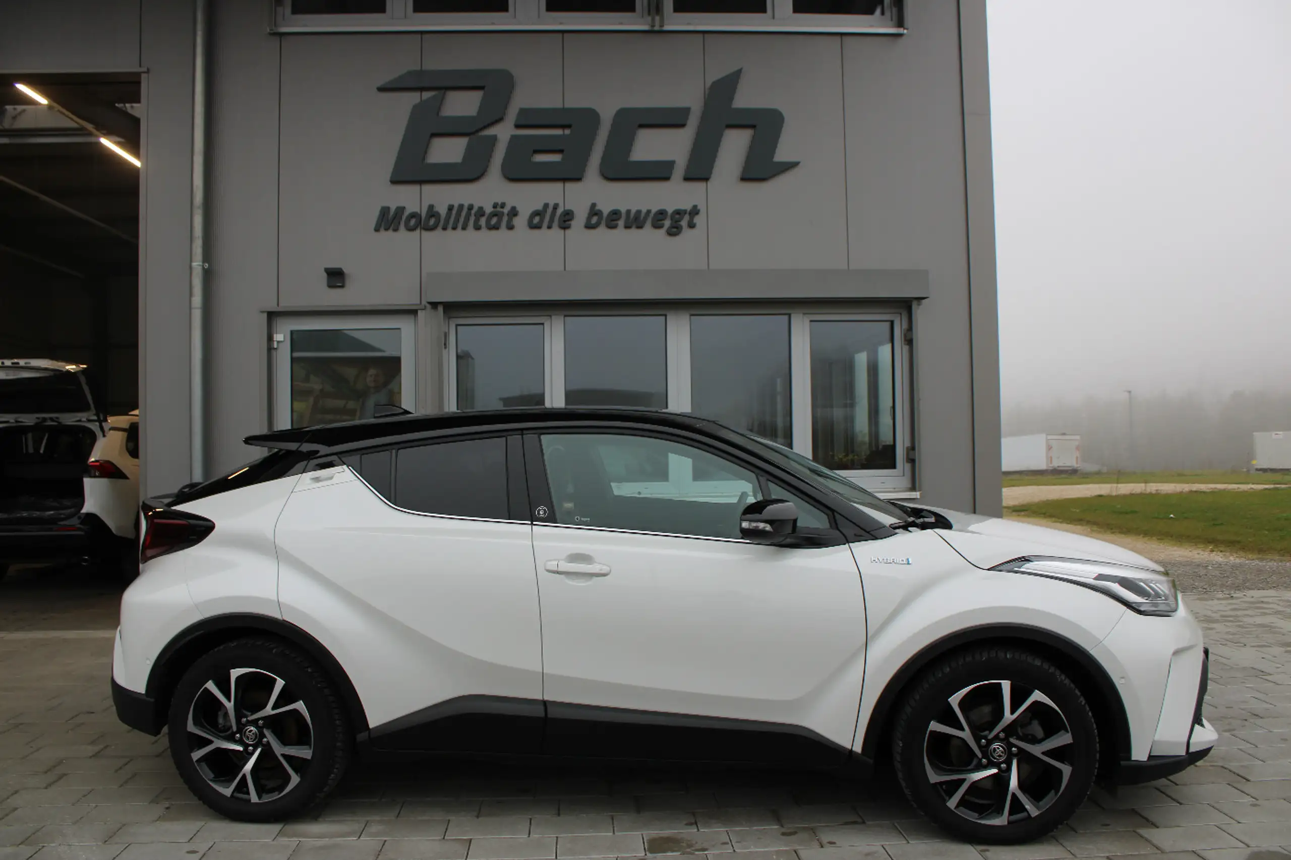 Toyota - C-HR