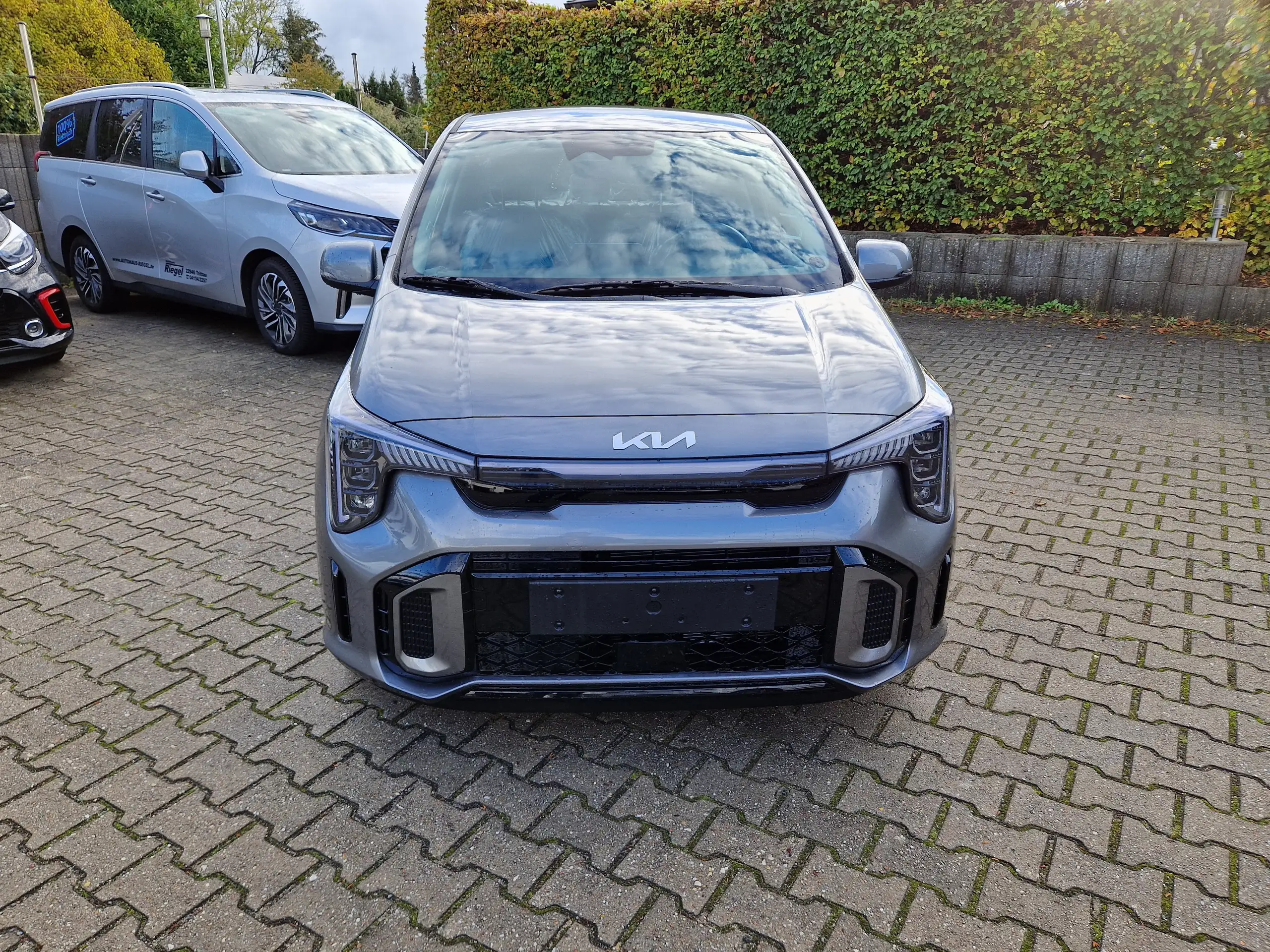 Kia - Picanto