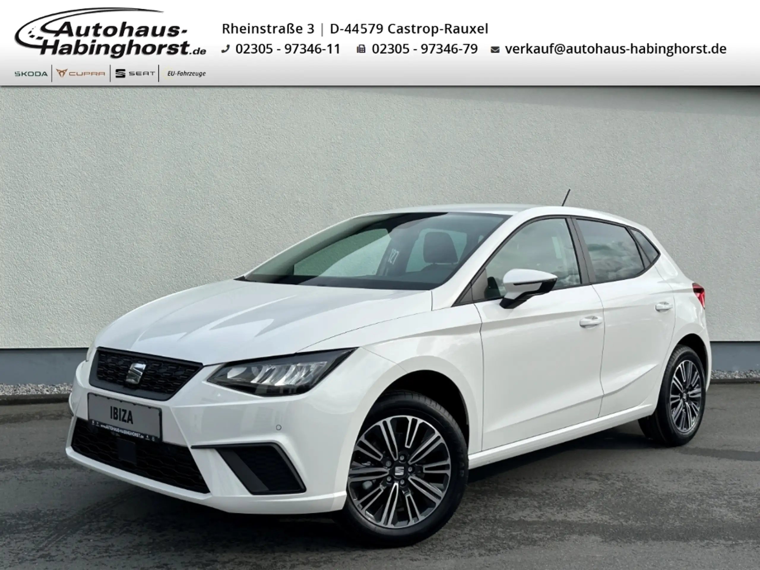 SEAT Ibiza 2024