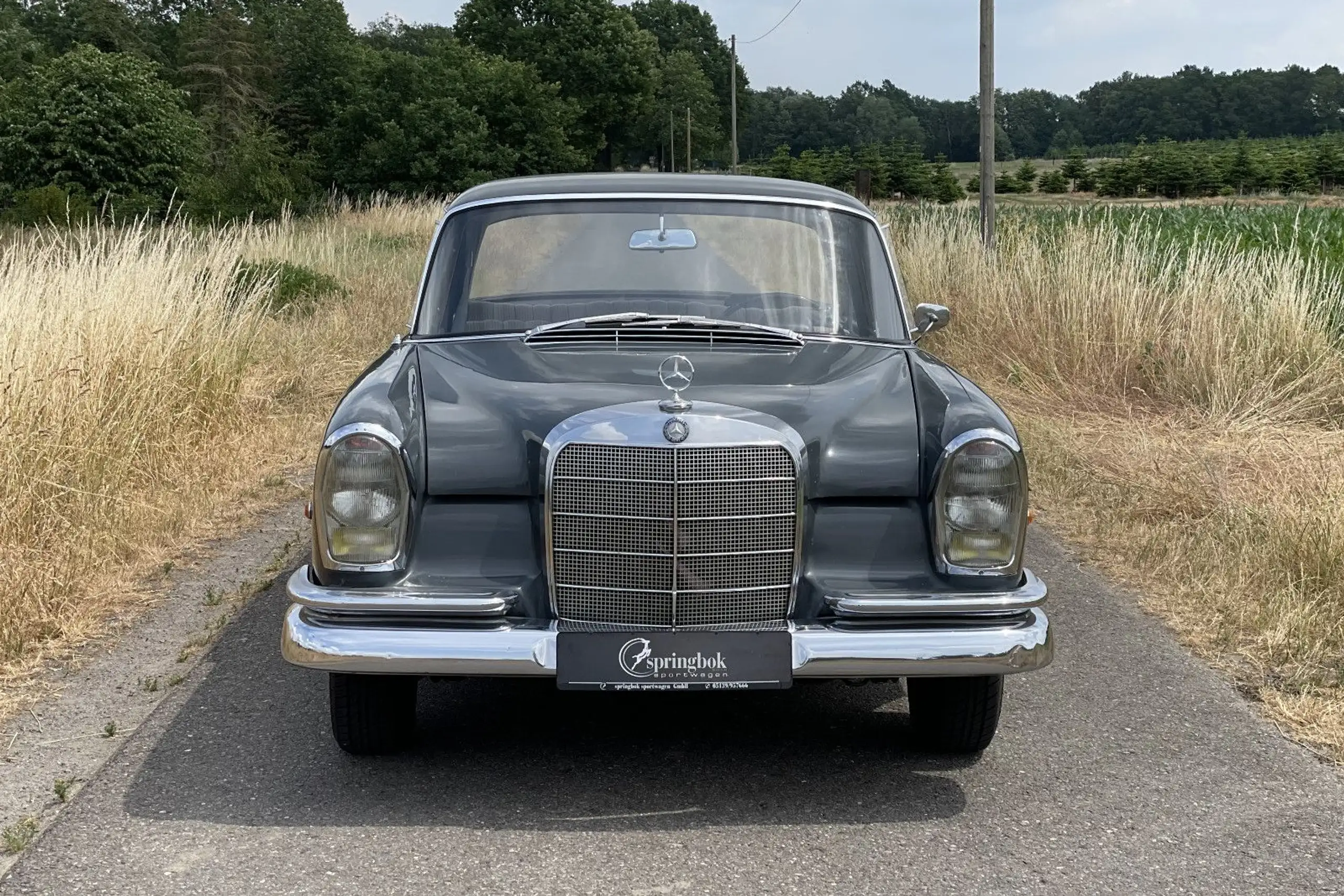 Mercedes-Benz 220 1964